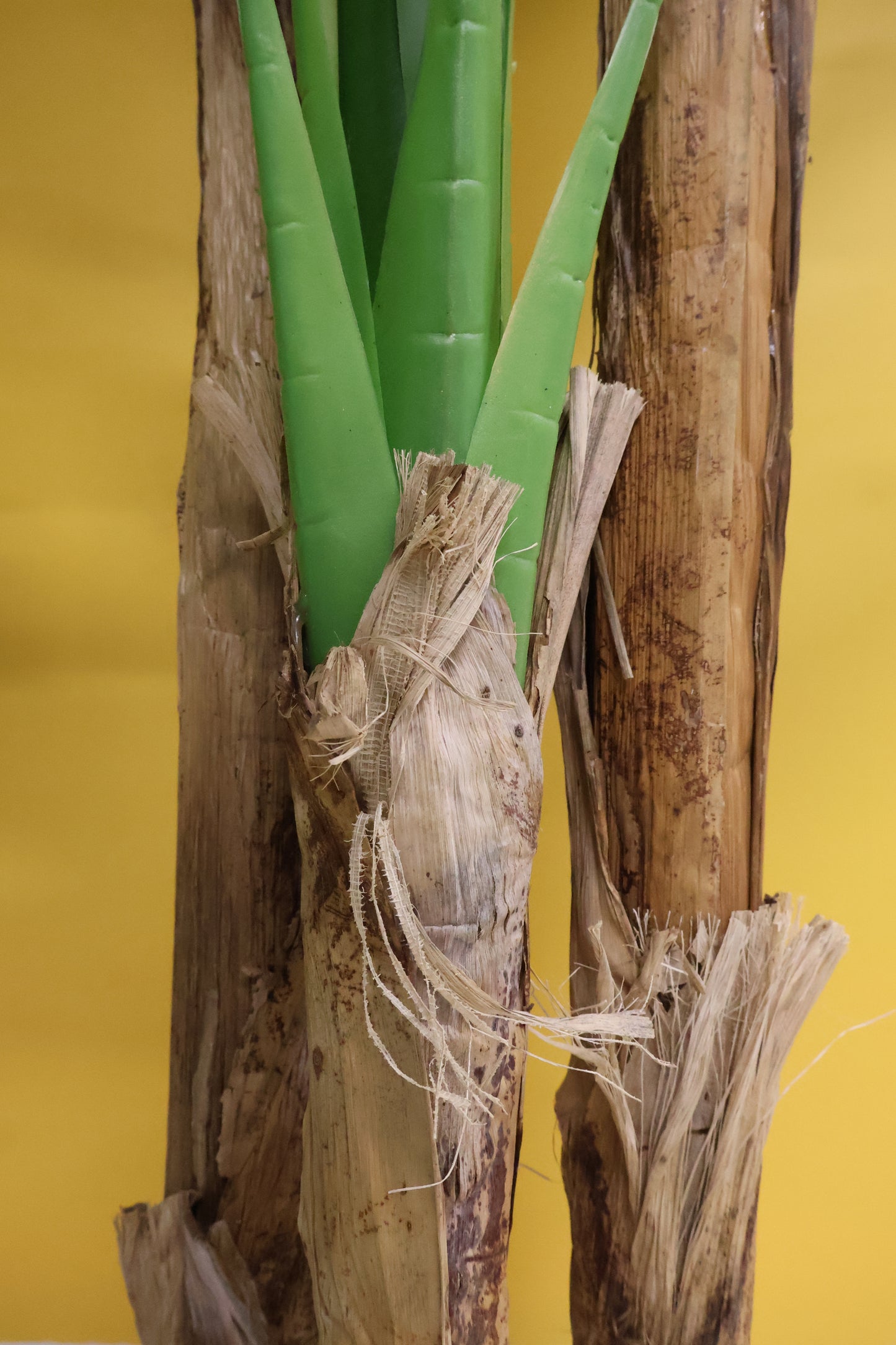 BANANA TREE (3-STEM) — 98.4" (250 cm)