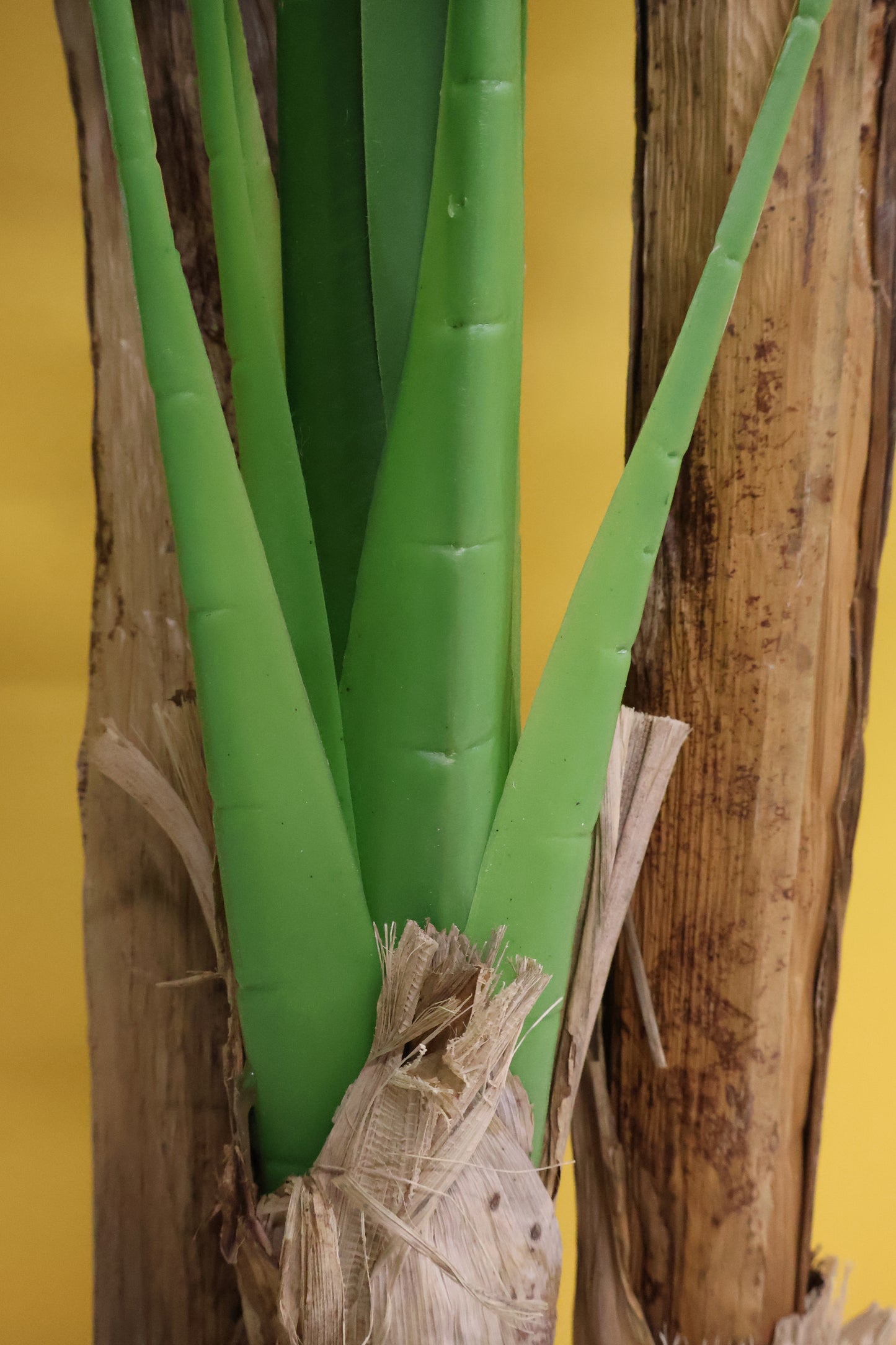 BANANA TREE (3-STEM) — 98.4" (250 cm)