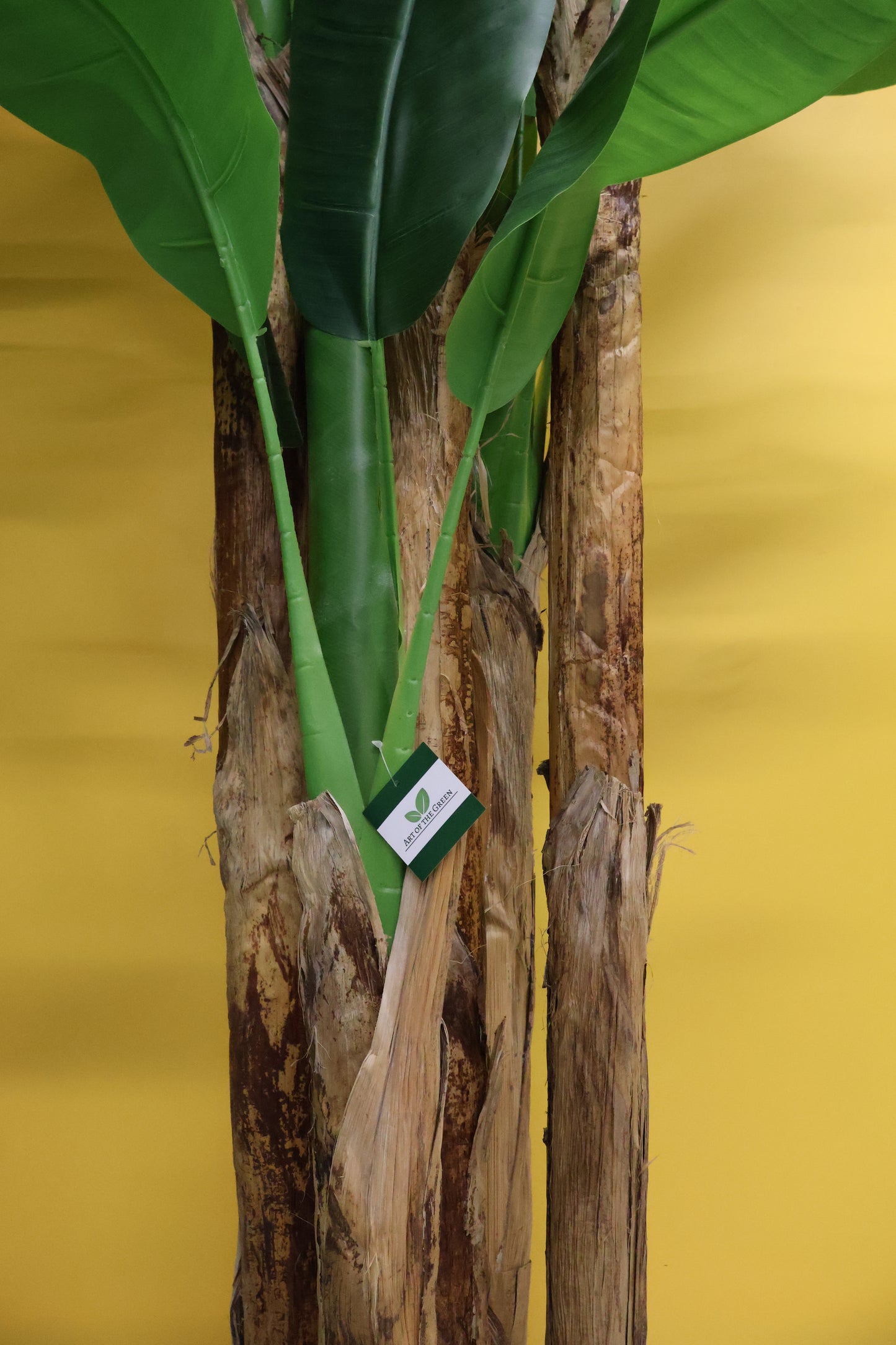 BANANA TREE (5-STEM) — 110.2" (280 cm)