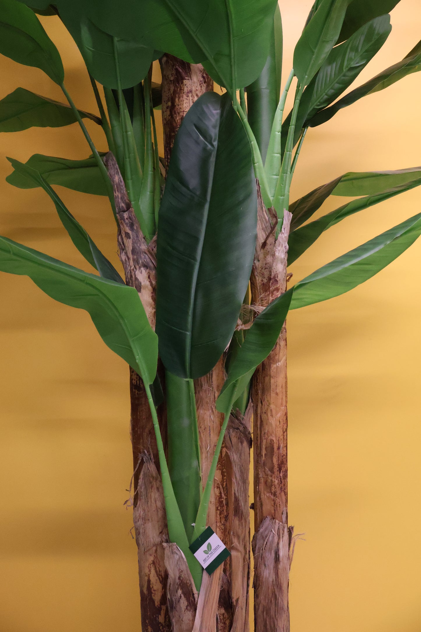 BANANA TREE (5-STEM) — 110.2" (280 cm)