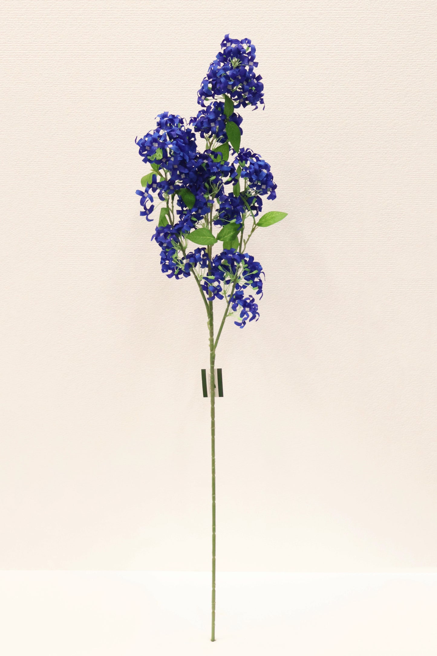 MURRAYA SPRAY (MURRAYA PANICULATA) — 35.4" (90 cm)