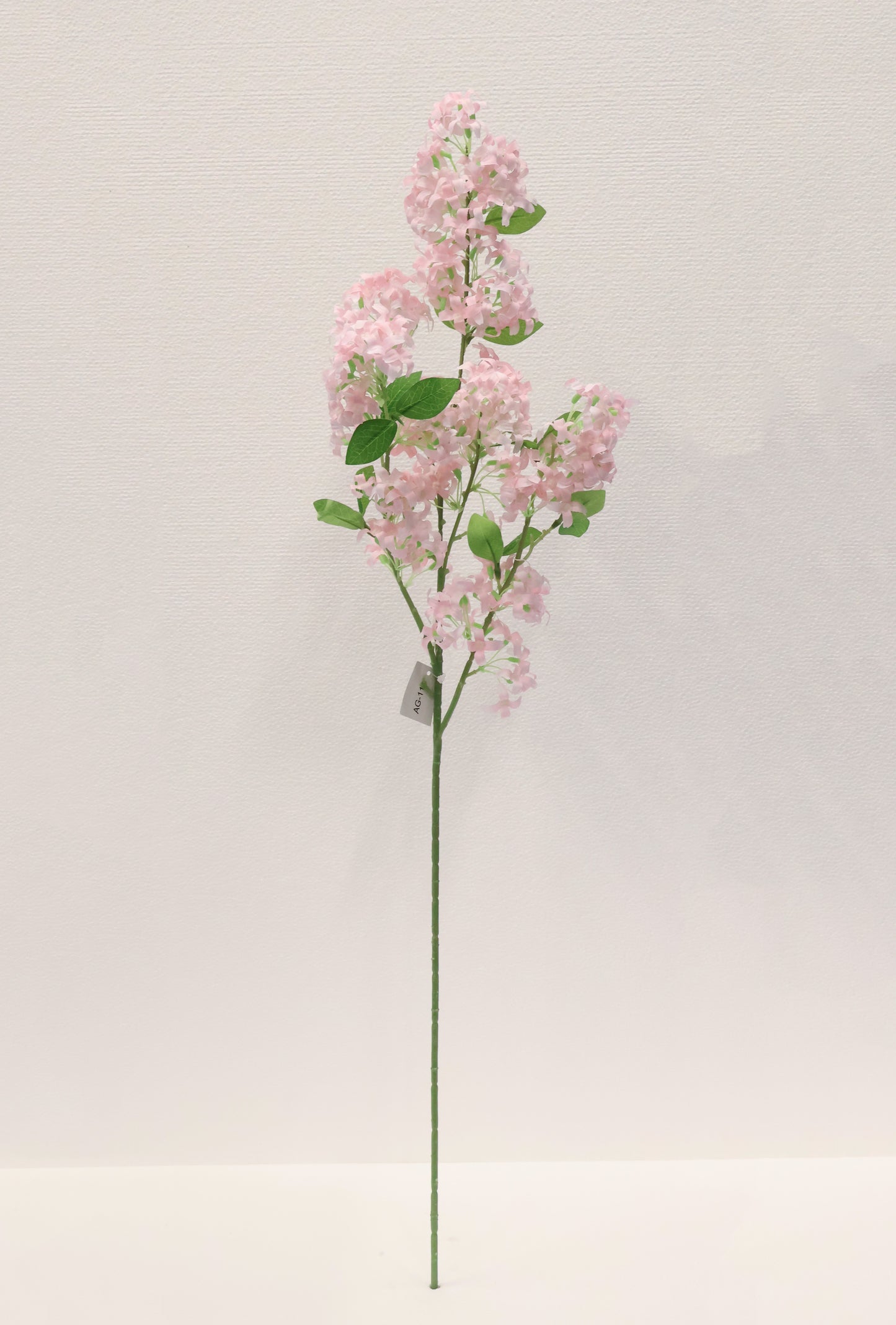 MURRAYA SPRAY (MURRAYA PANICULATA) — 35.4" (90 cm)