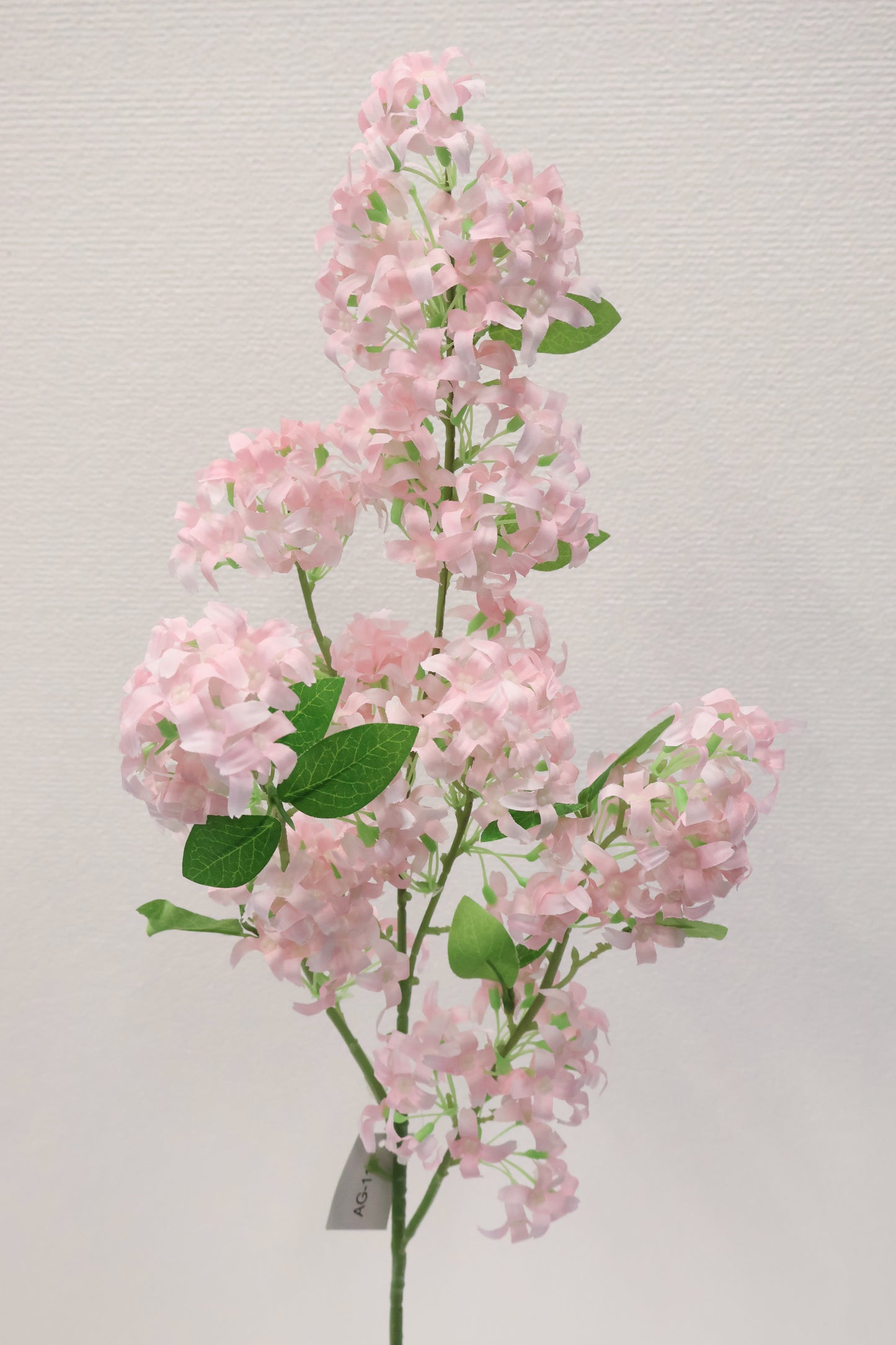 MURRAYA SPRAY (MURRAYA PANICULATA) — 35.4" (90 cm)