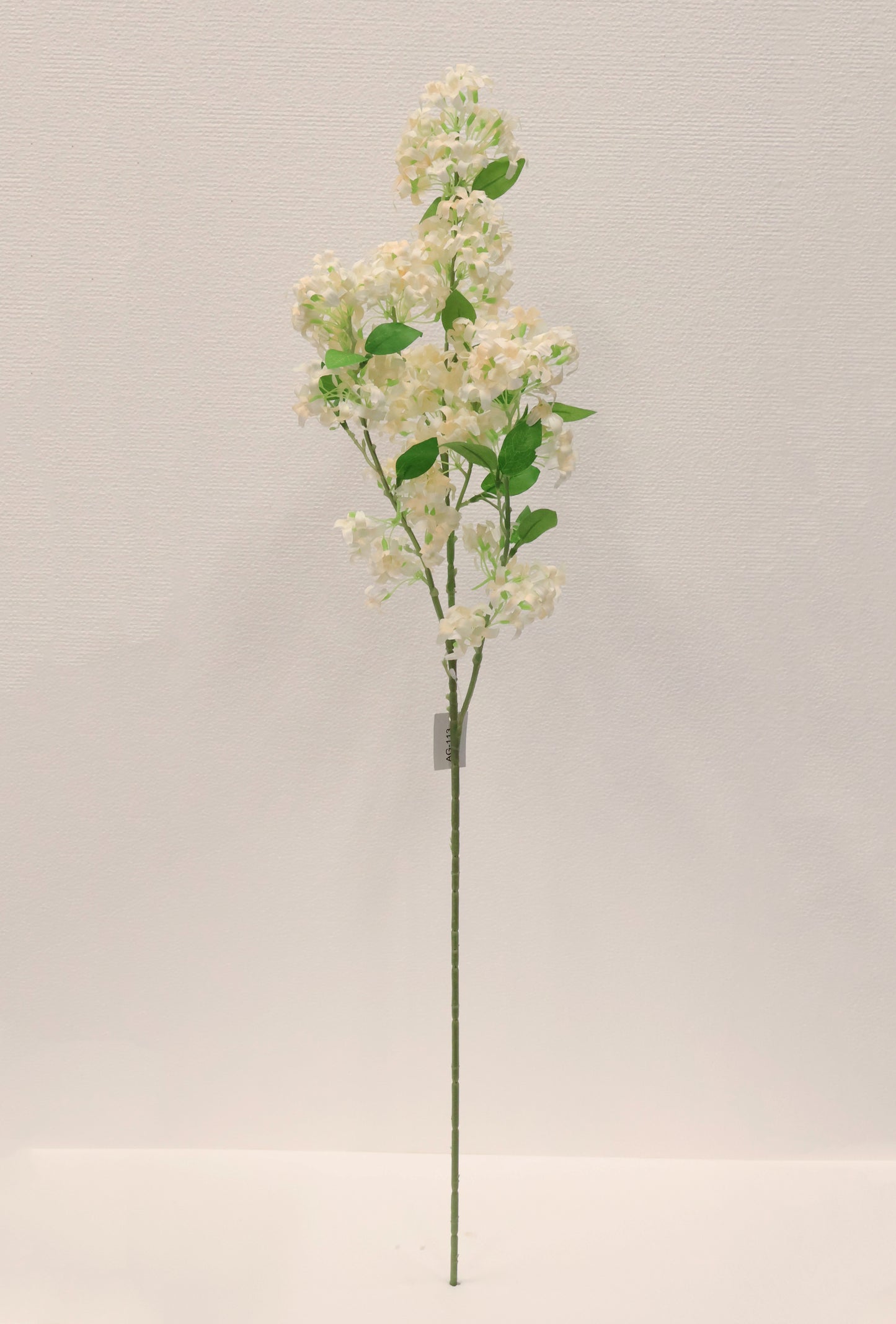 MURRAYA SPRAY (MURRAYA PANICULATA) — 35.4" (90 cm)
