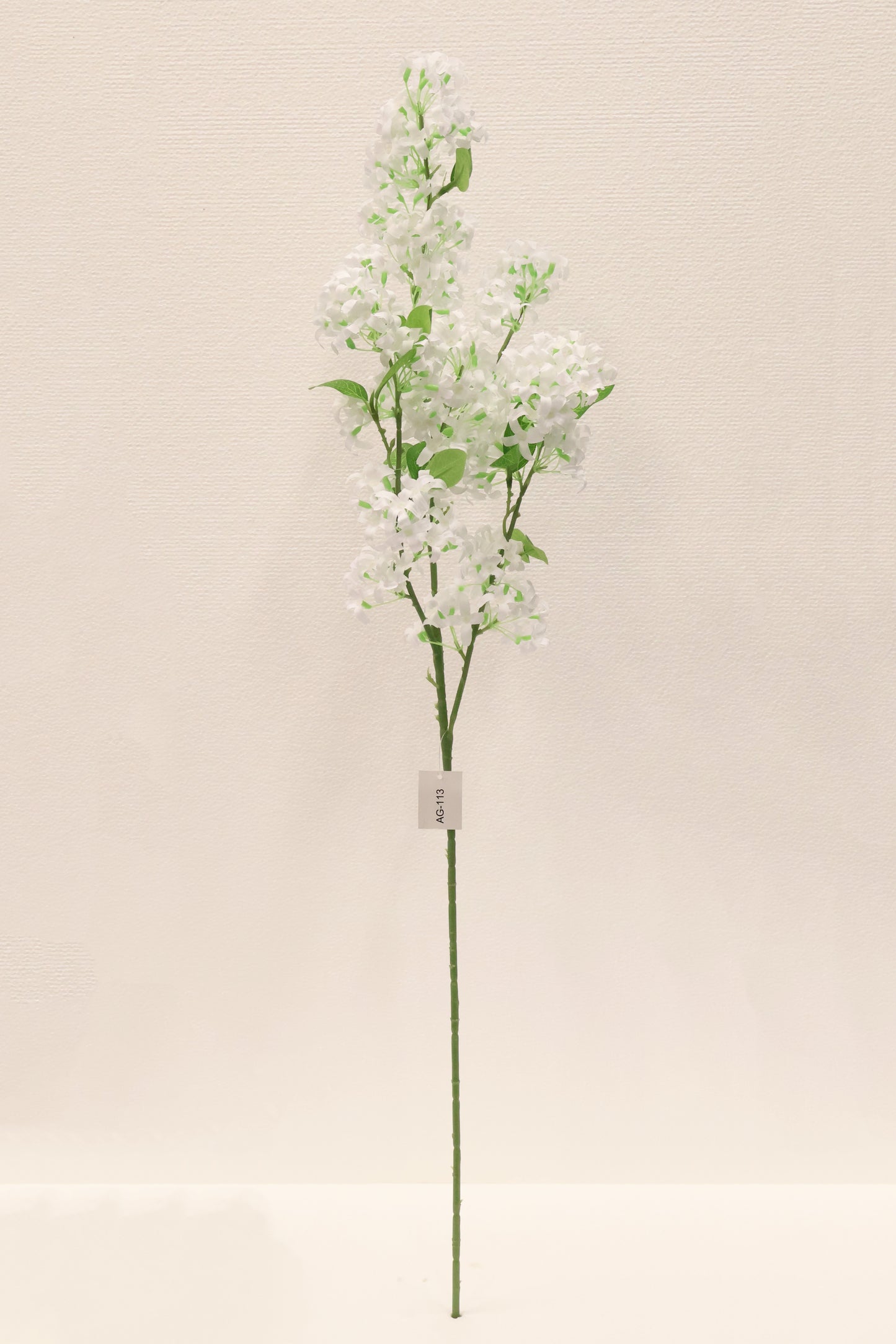 MURRAYA SPRAY (MURRAYA PANICULATA) — 35.4" (90 cm)