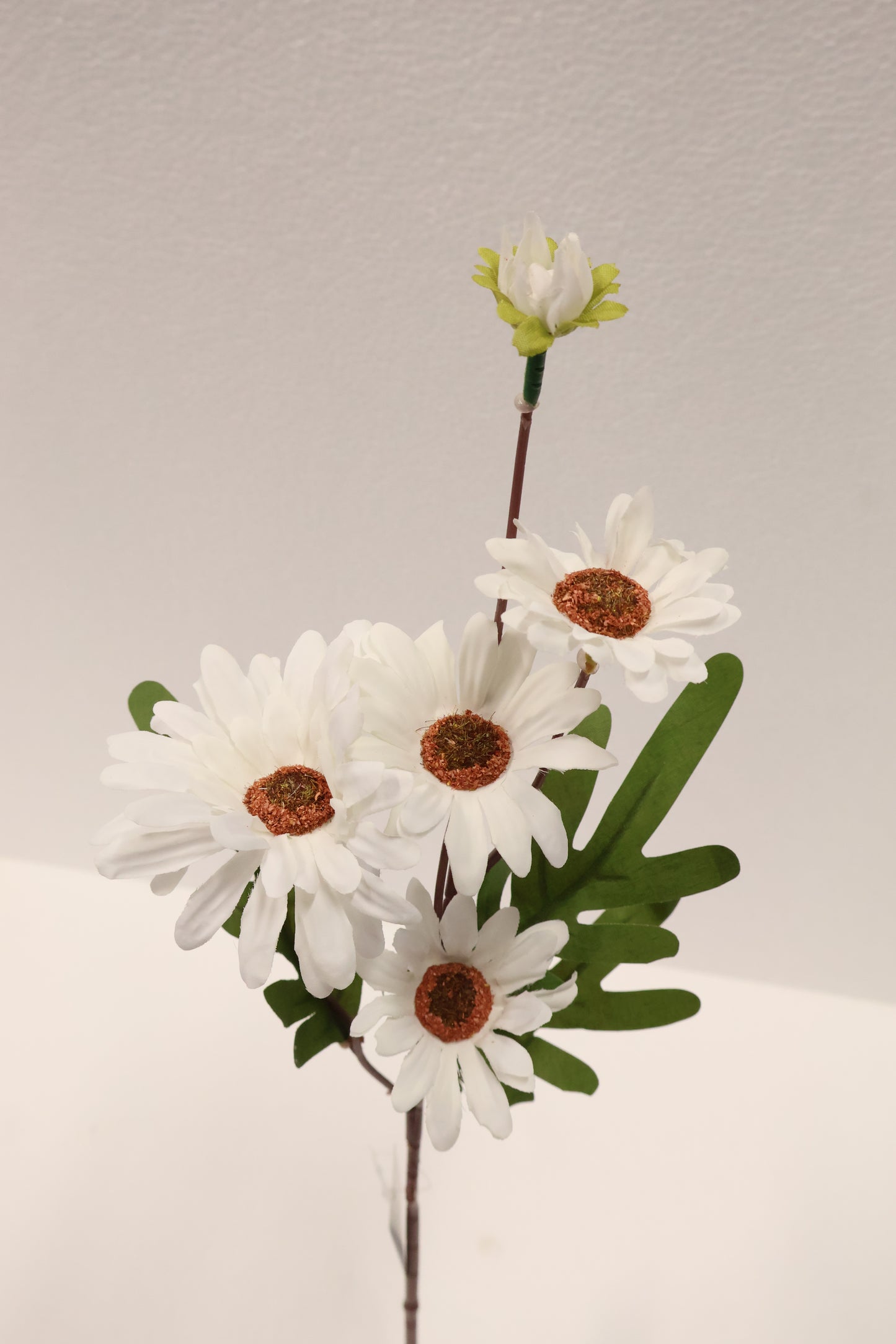 DAISY — 20.1" (51 cm)