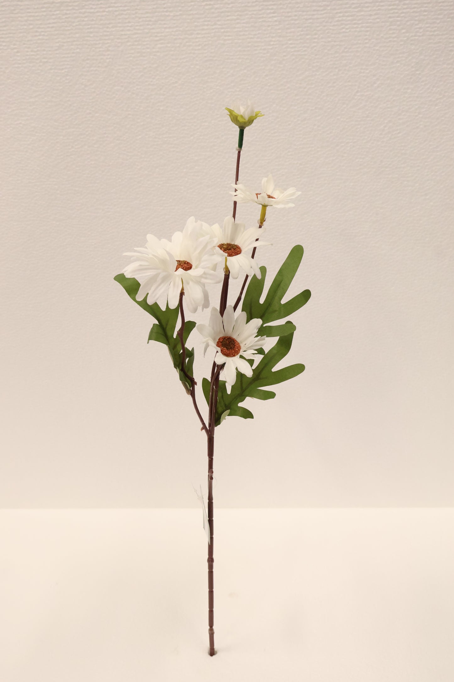 DAISY — 20.1" (51 cm)