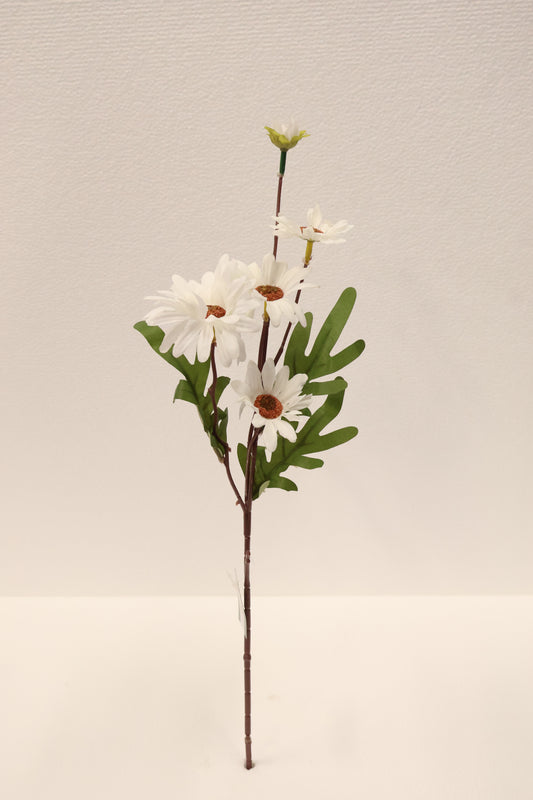 DAISY — 20.1" (51 cm)