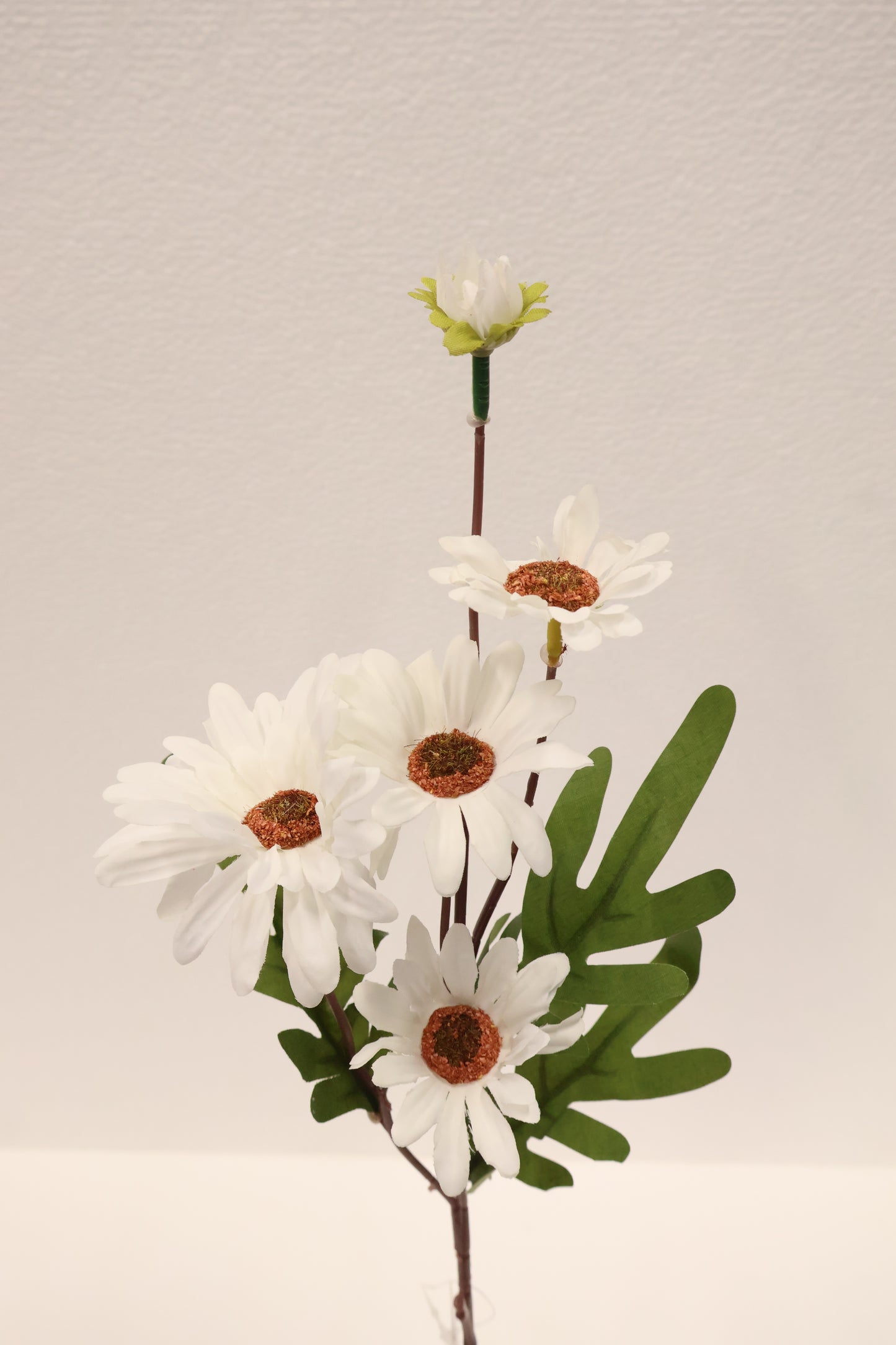 DAISY — 20.1" (51 cm)