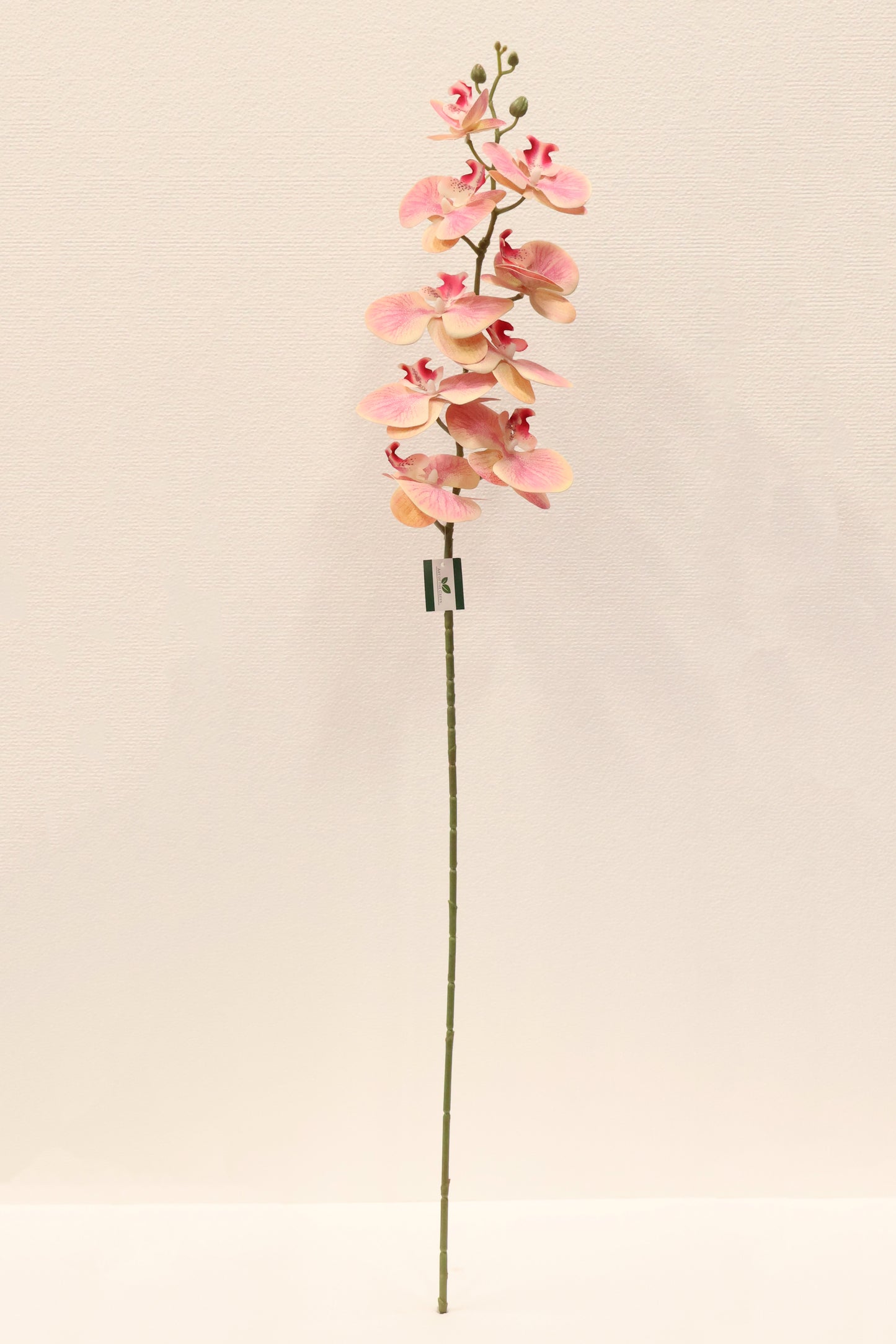 SINGLE ORCHID — 40.2" (102 cm)