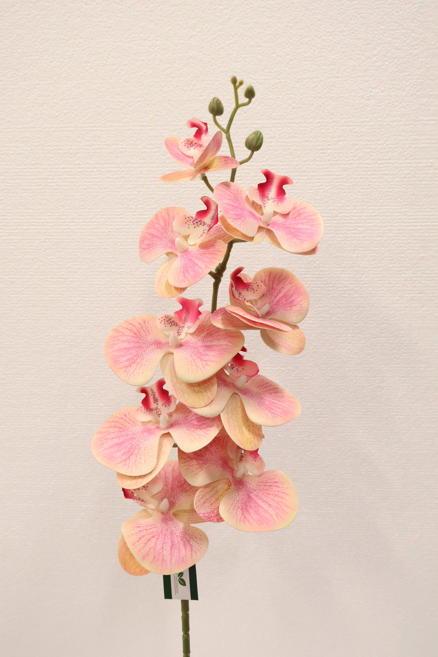 SINGLE ORCHID — 40.2" (102 cm)