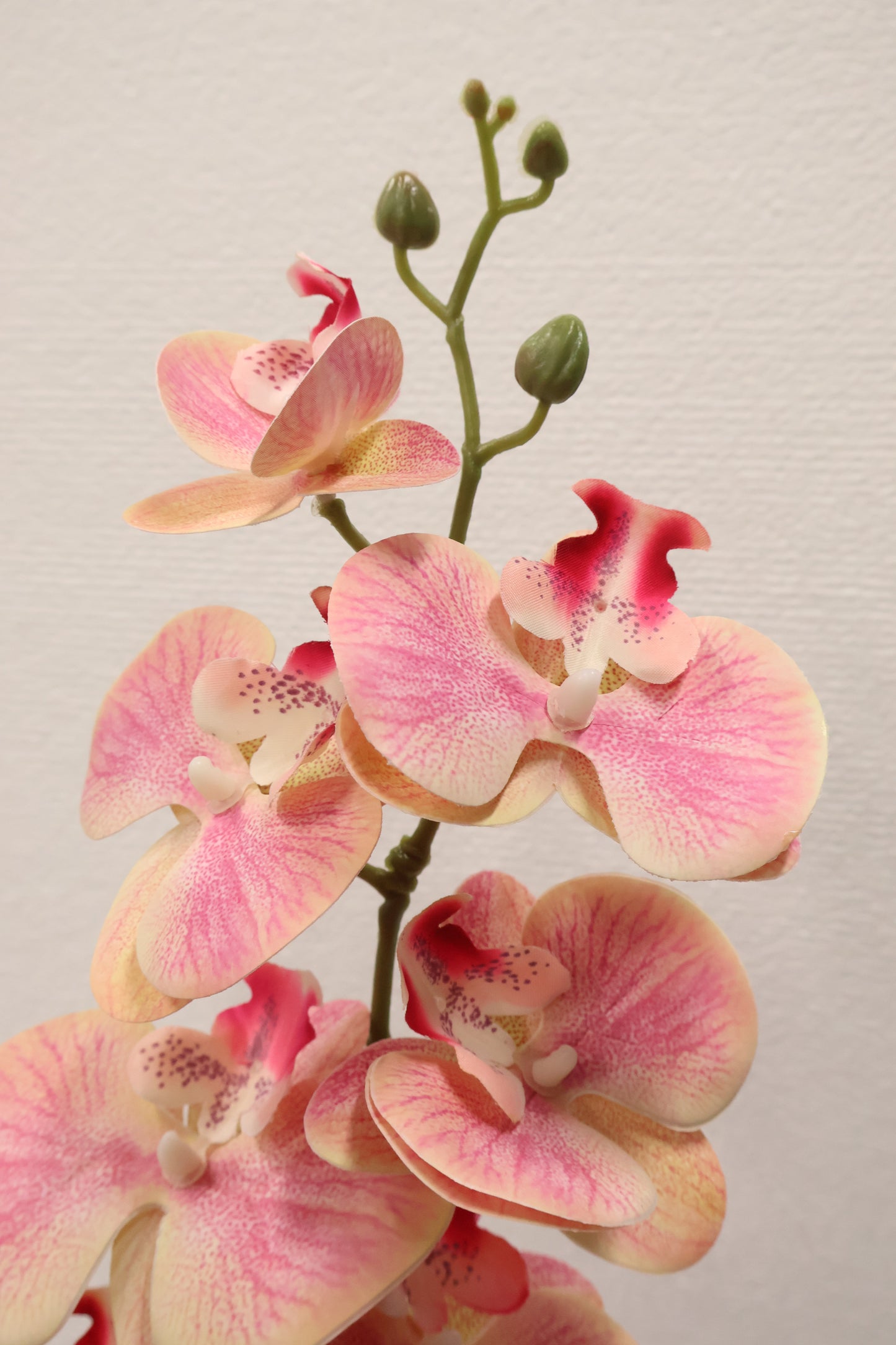 SINGLE ORCHID — 40.2" (102 cm)