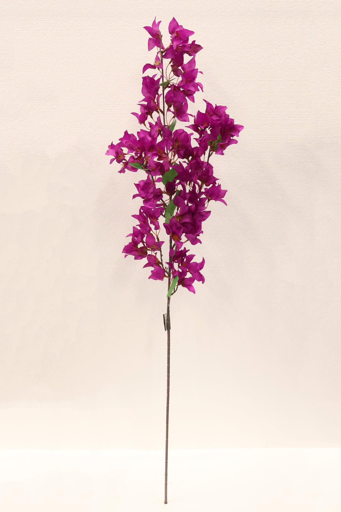 WILD BOUGAINVILLEA — 45.7" (116 cm)