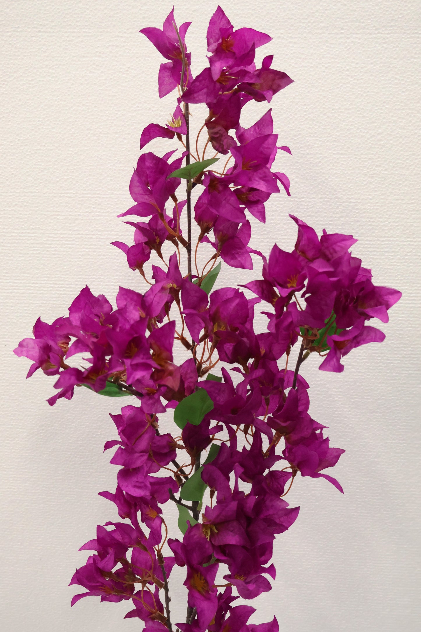 WILD BOUGAINVILLEA — 45.7" (116 cm)