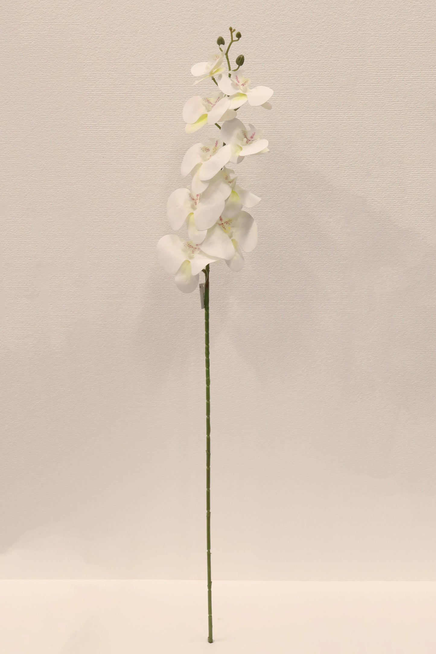 SINGLE ORCHID — 40.2" (102 cm)