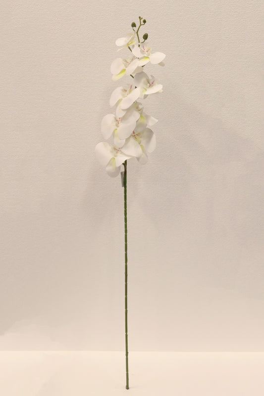SINGLE ORCHID — 40.2" (102 cm)