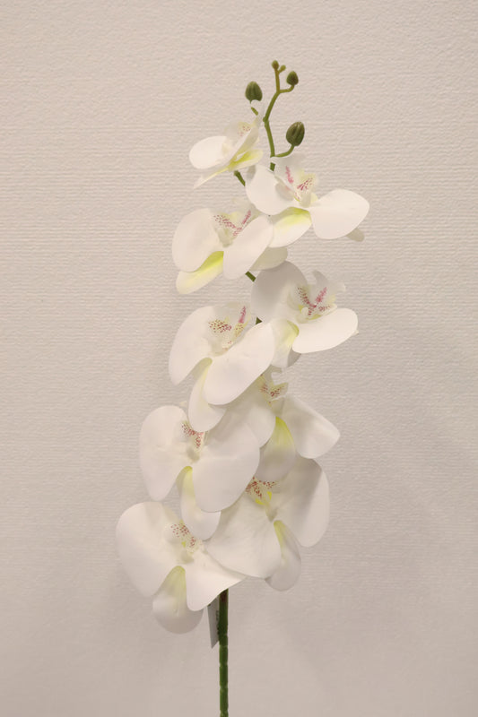 SINGLE ORCHID — 40.2" (102 cm)