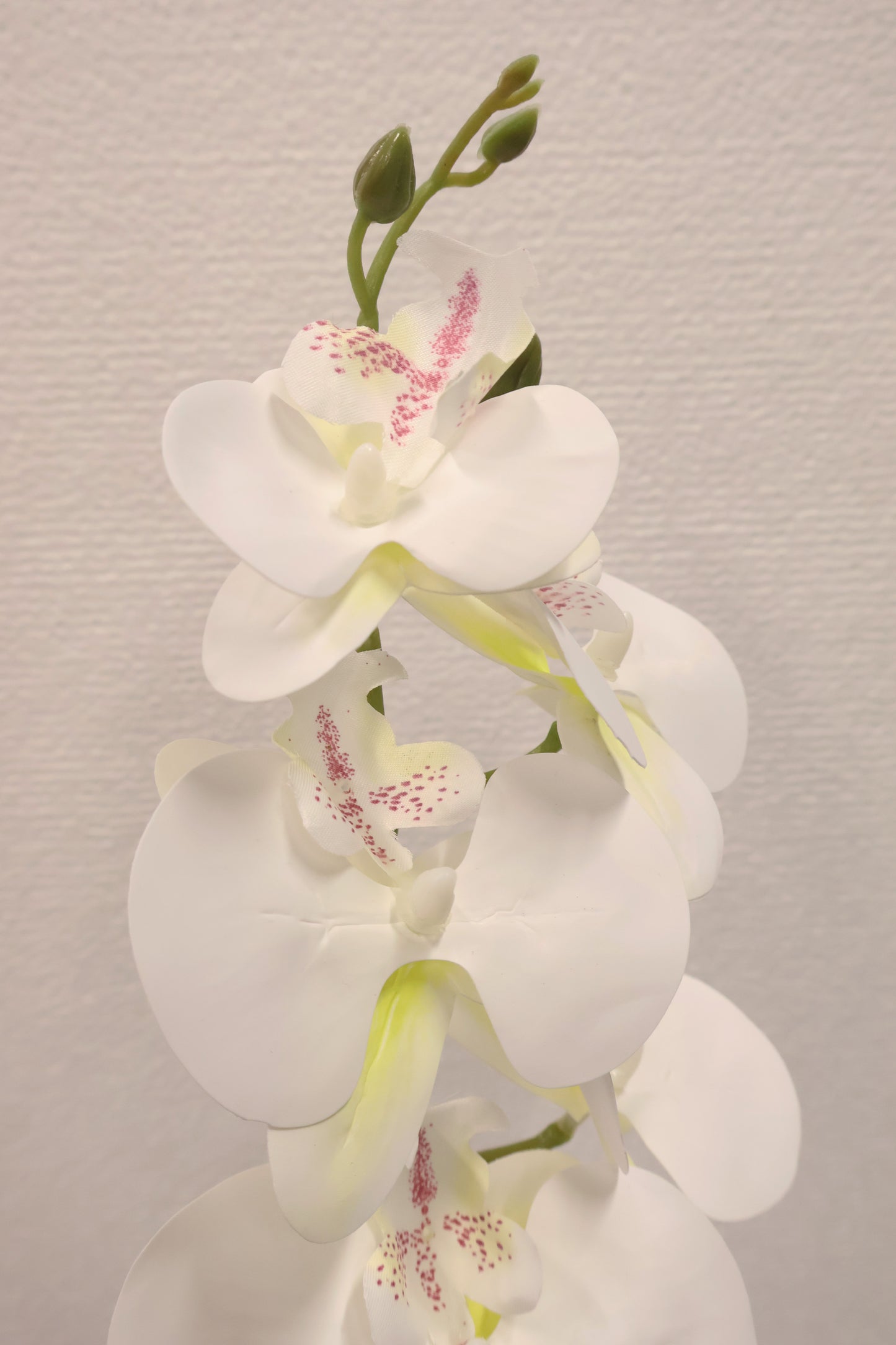 SINGLE ORCHID — 40.2" (102 cm)