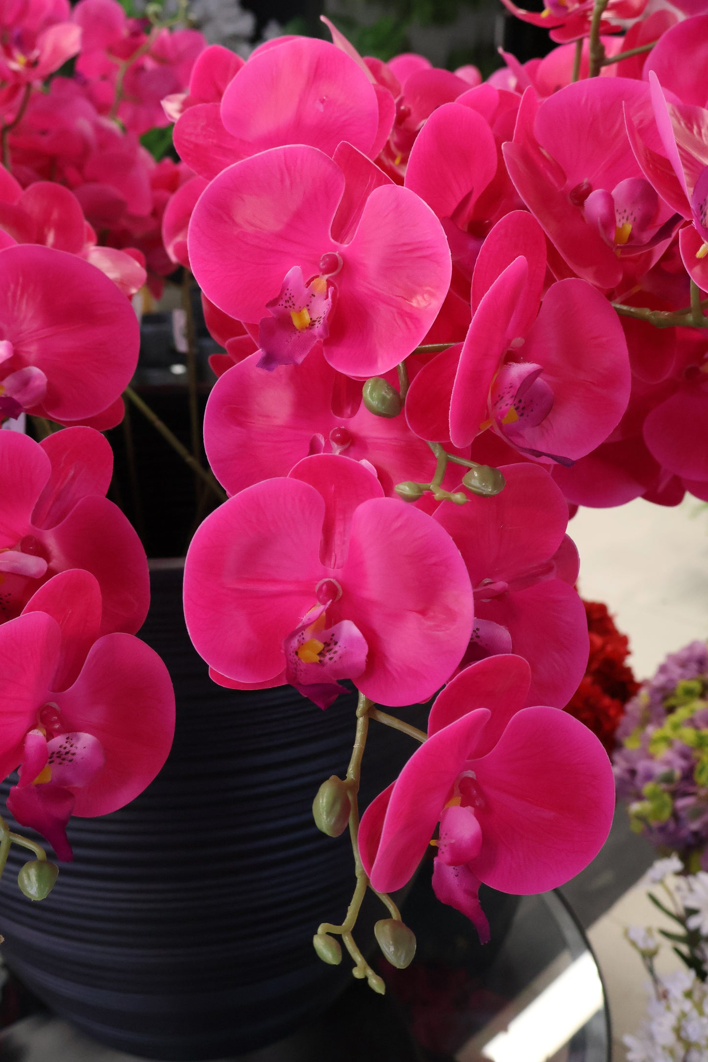 SINGLE ORCHID — 40.2" (102 cm)