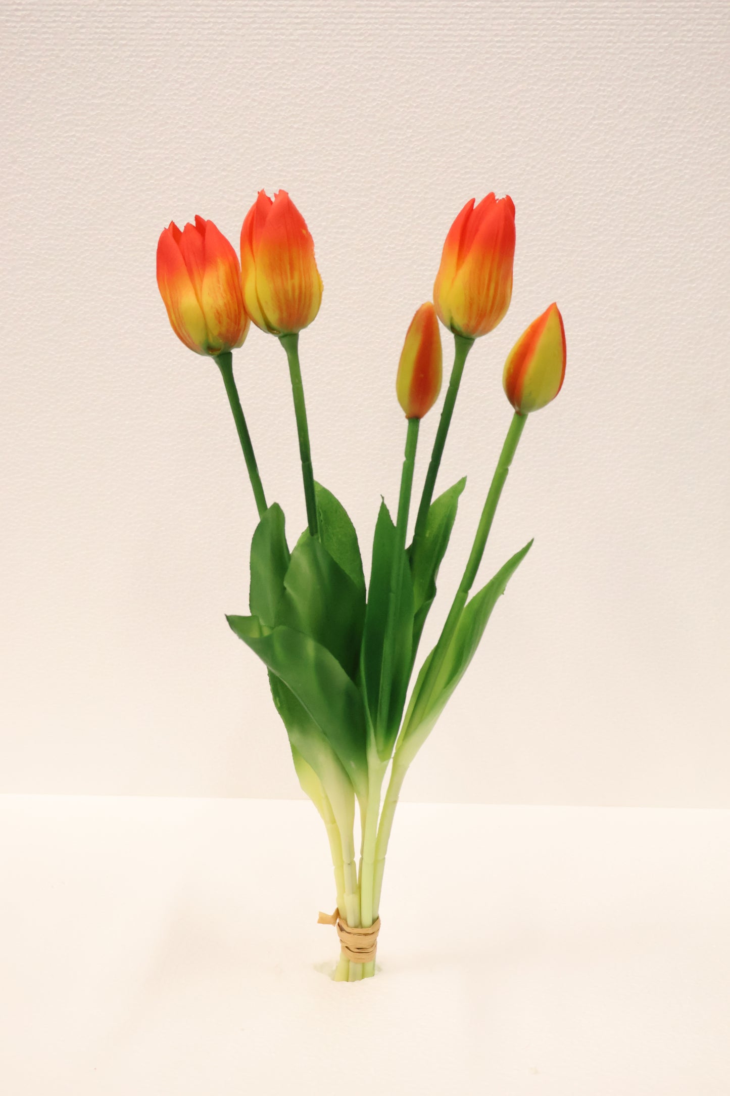 TULIP — 16.1" (41 cm)