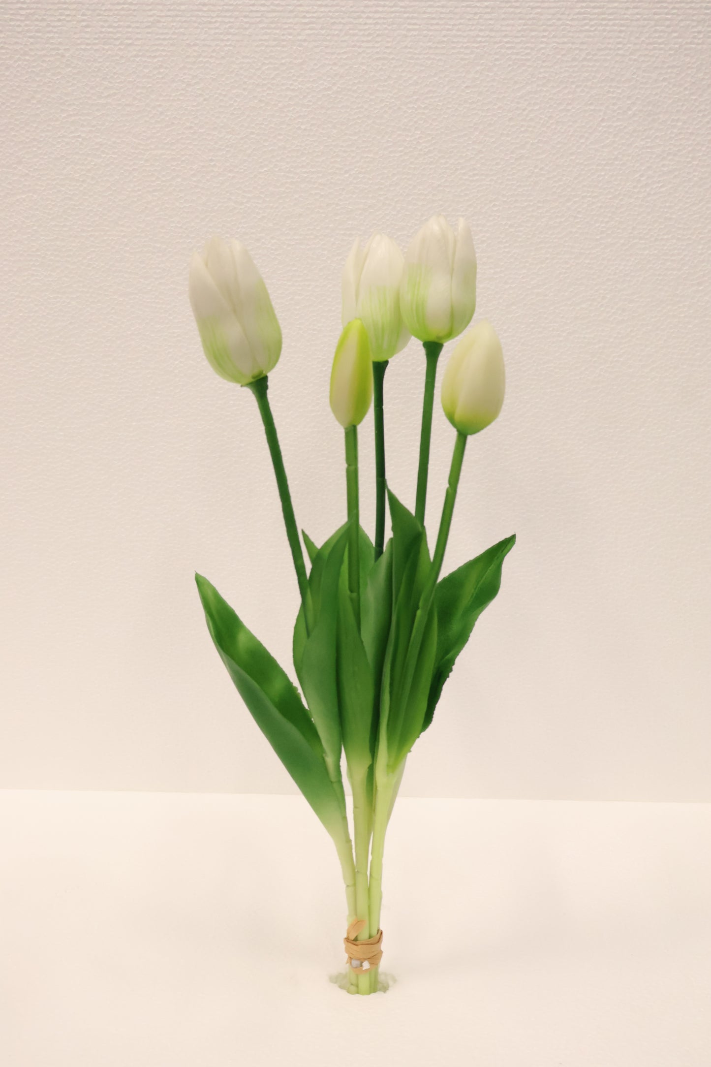 TULIP — 16.1" (41 cm)