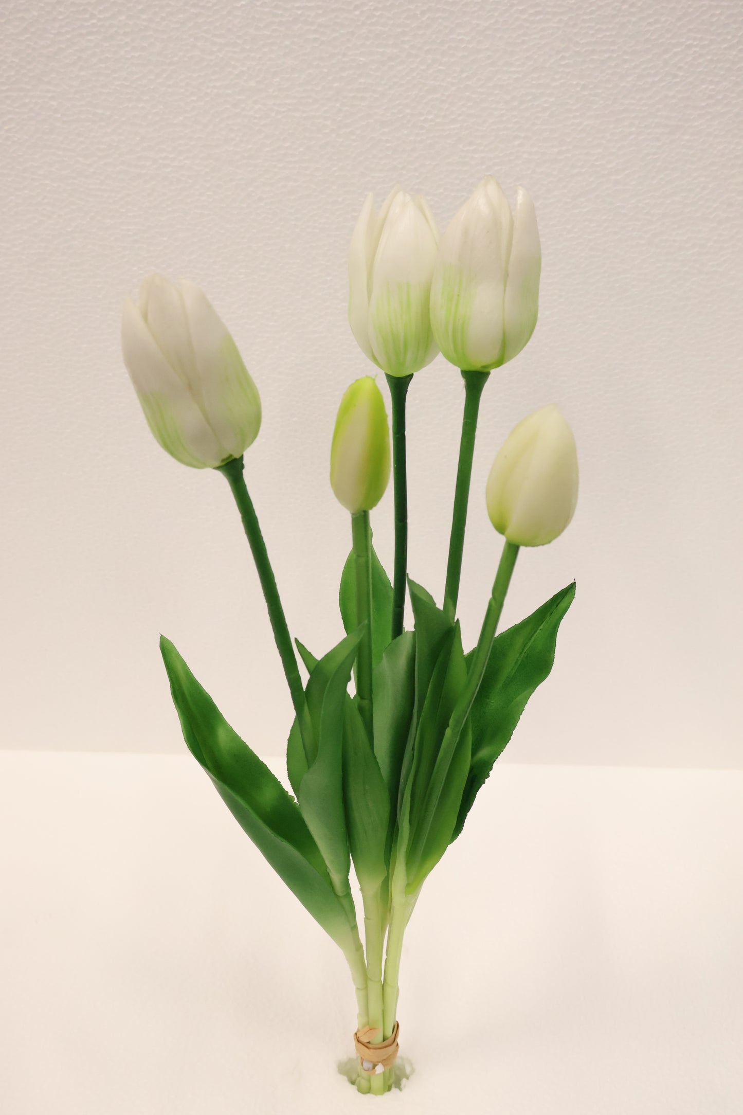 TULIP — 16.1" (41 cm)