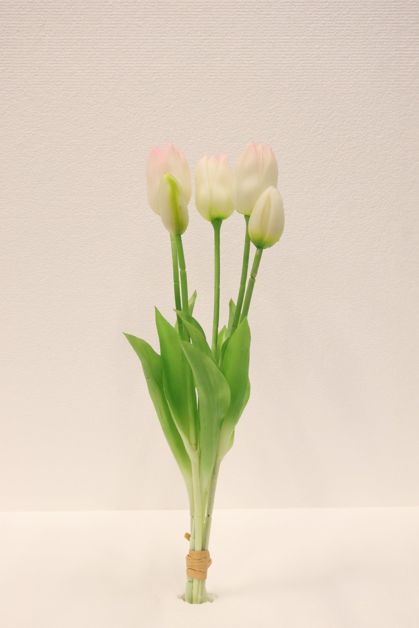 TULIP — 16.1" (41 cm)