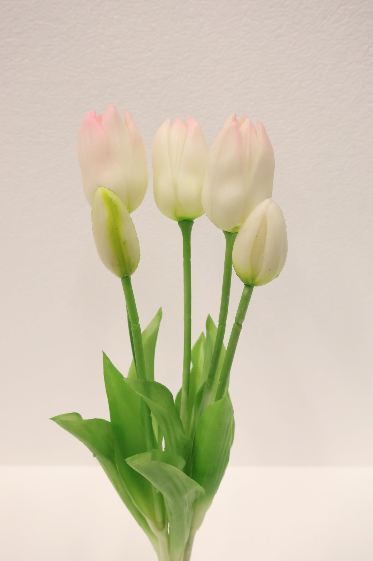 TULIP — 16.1" (41 cm)