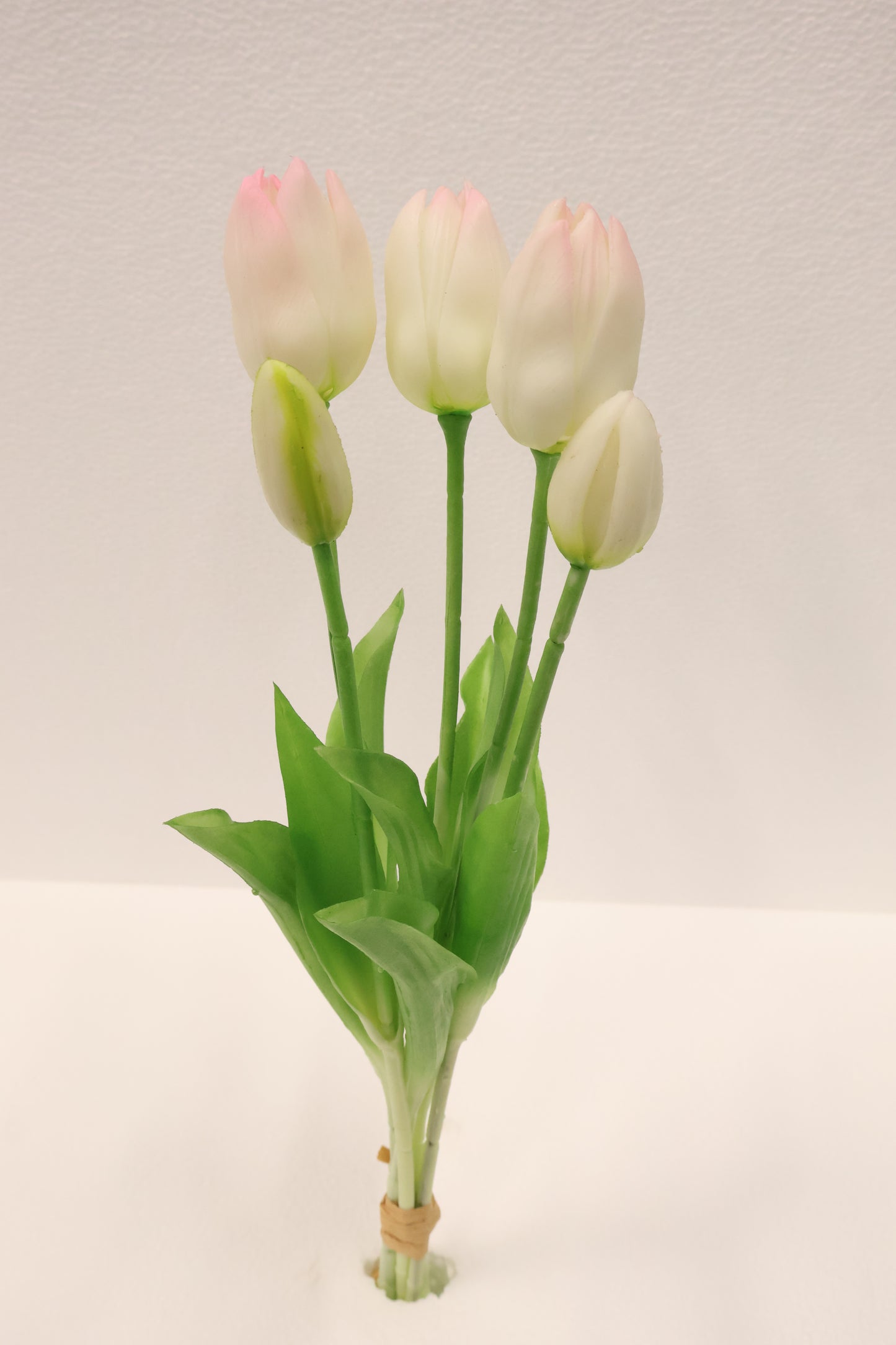 TULIP — 16.1" (41 cm)
