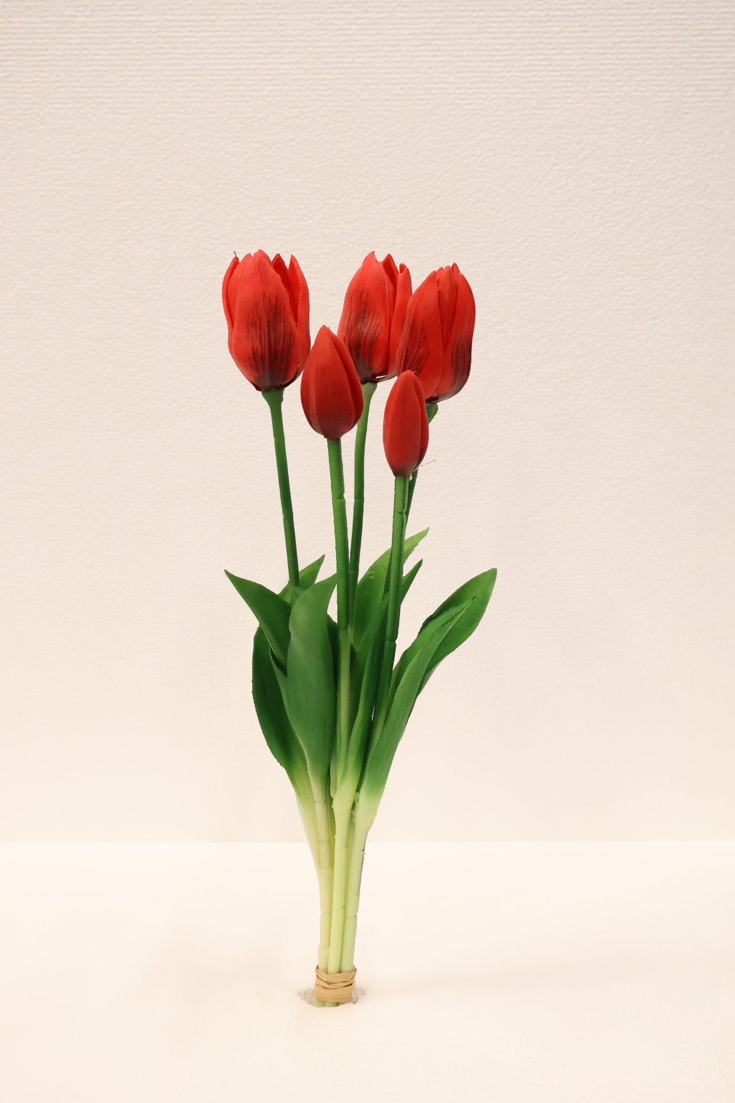 TULIP — 16.1" (41 cm)