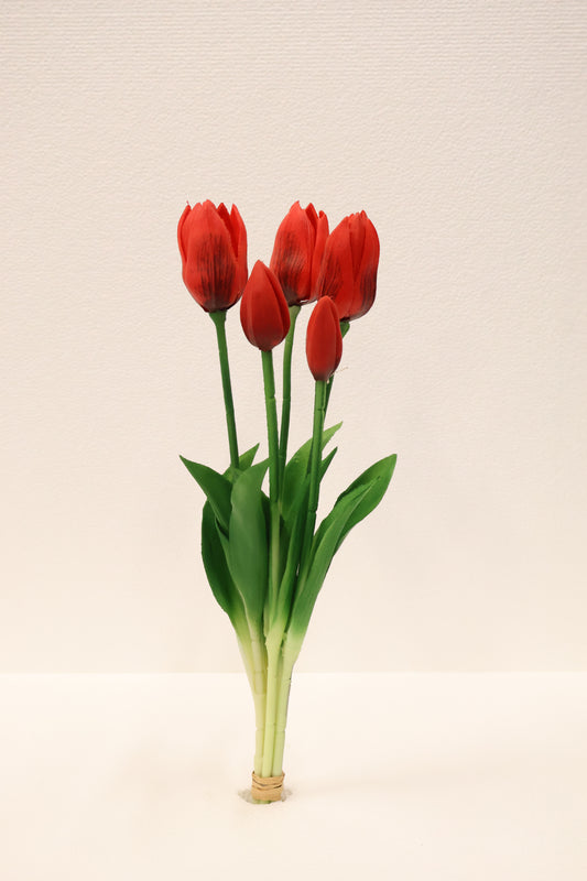TULIP — 16.1" (41 cm)