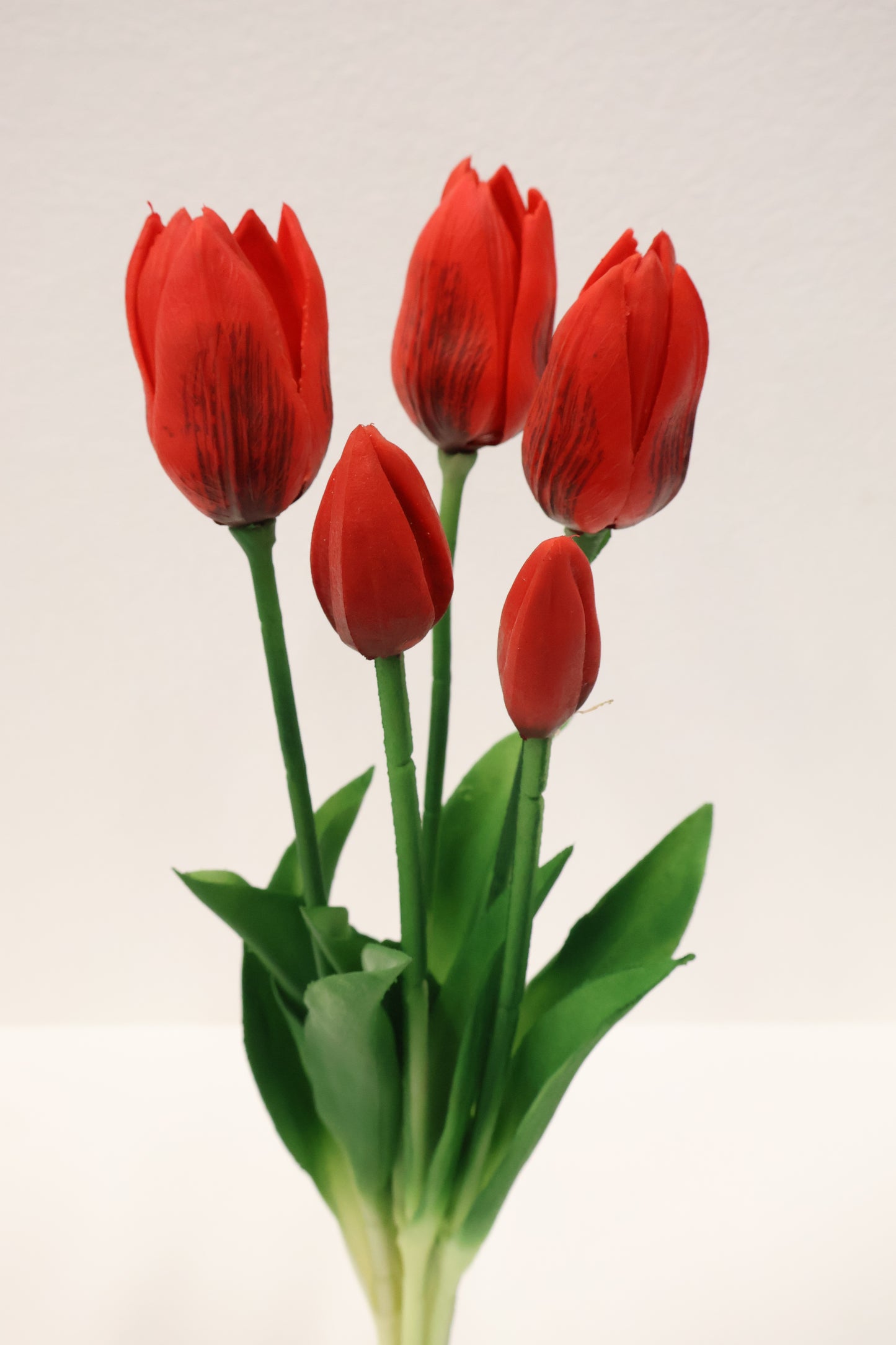 TULIP — 16.1" (41 cm)