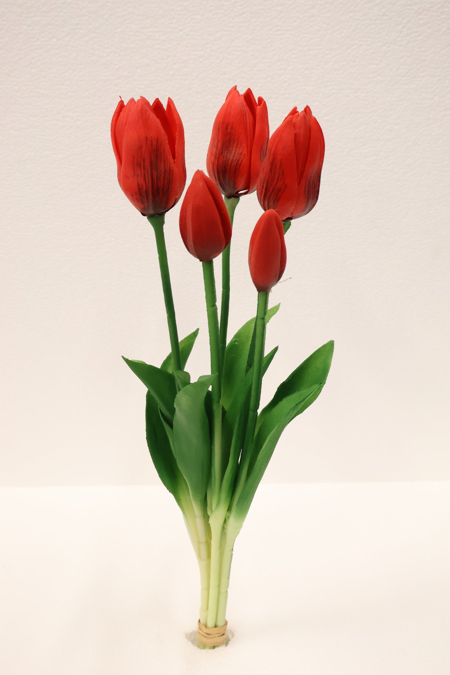 TULIP — 16.1" (41 cm)