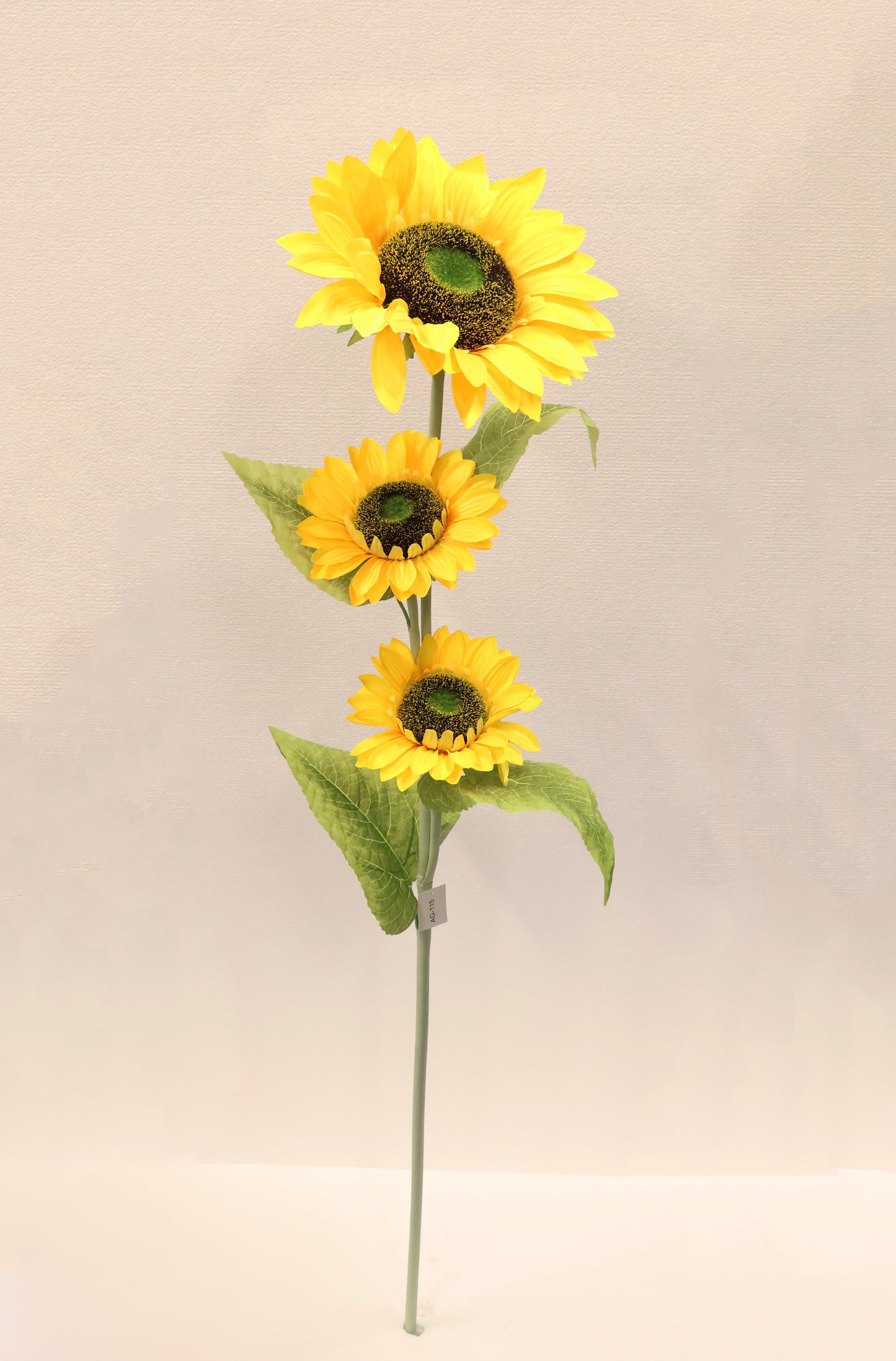 SUNFLOWER — 47.2" (120 cm)