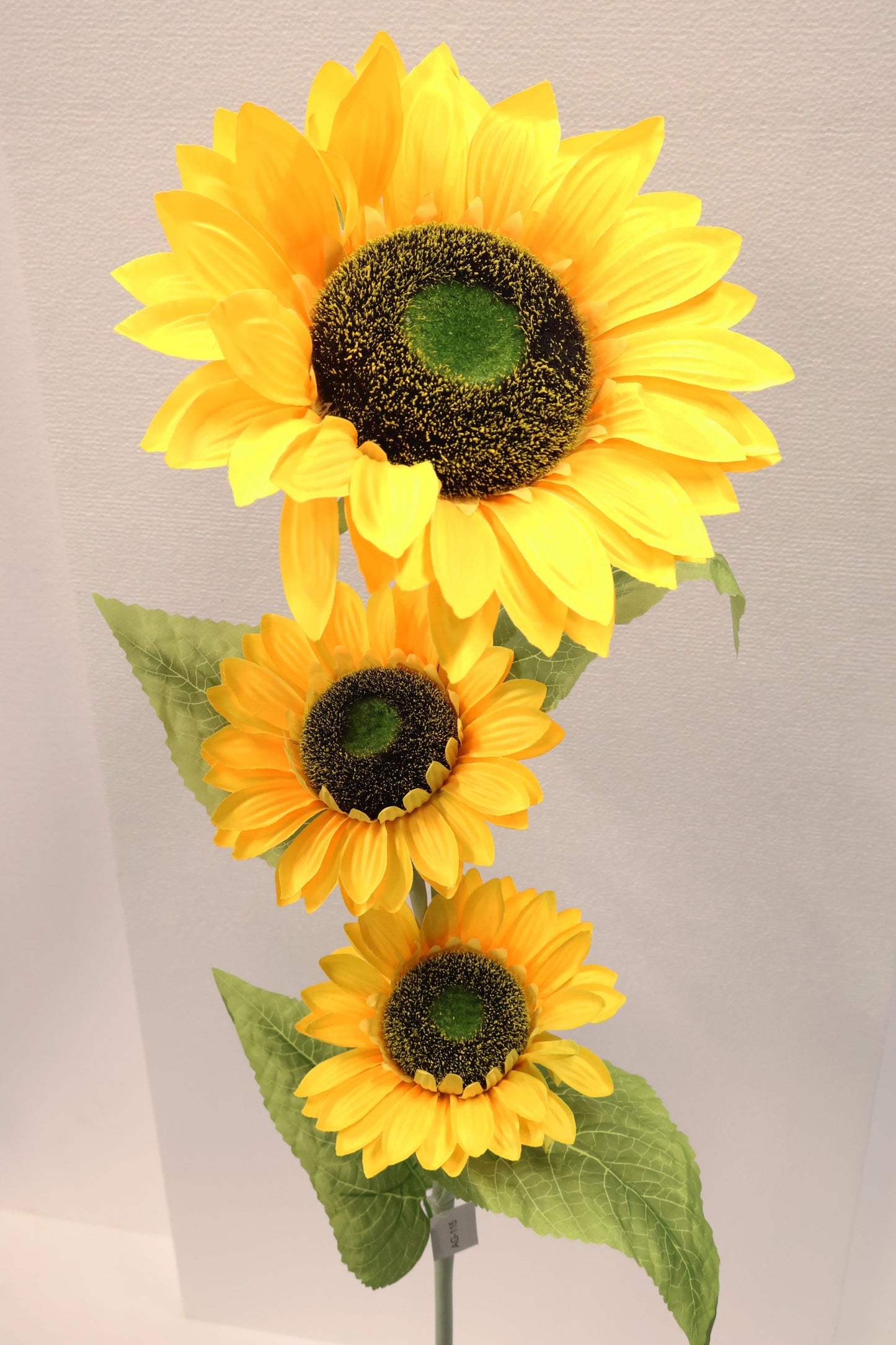 SUNFLOWER — 47.2" (120 cm)