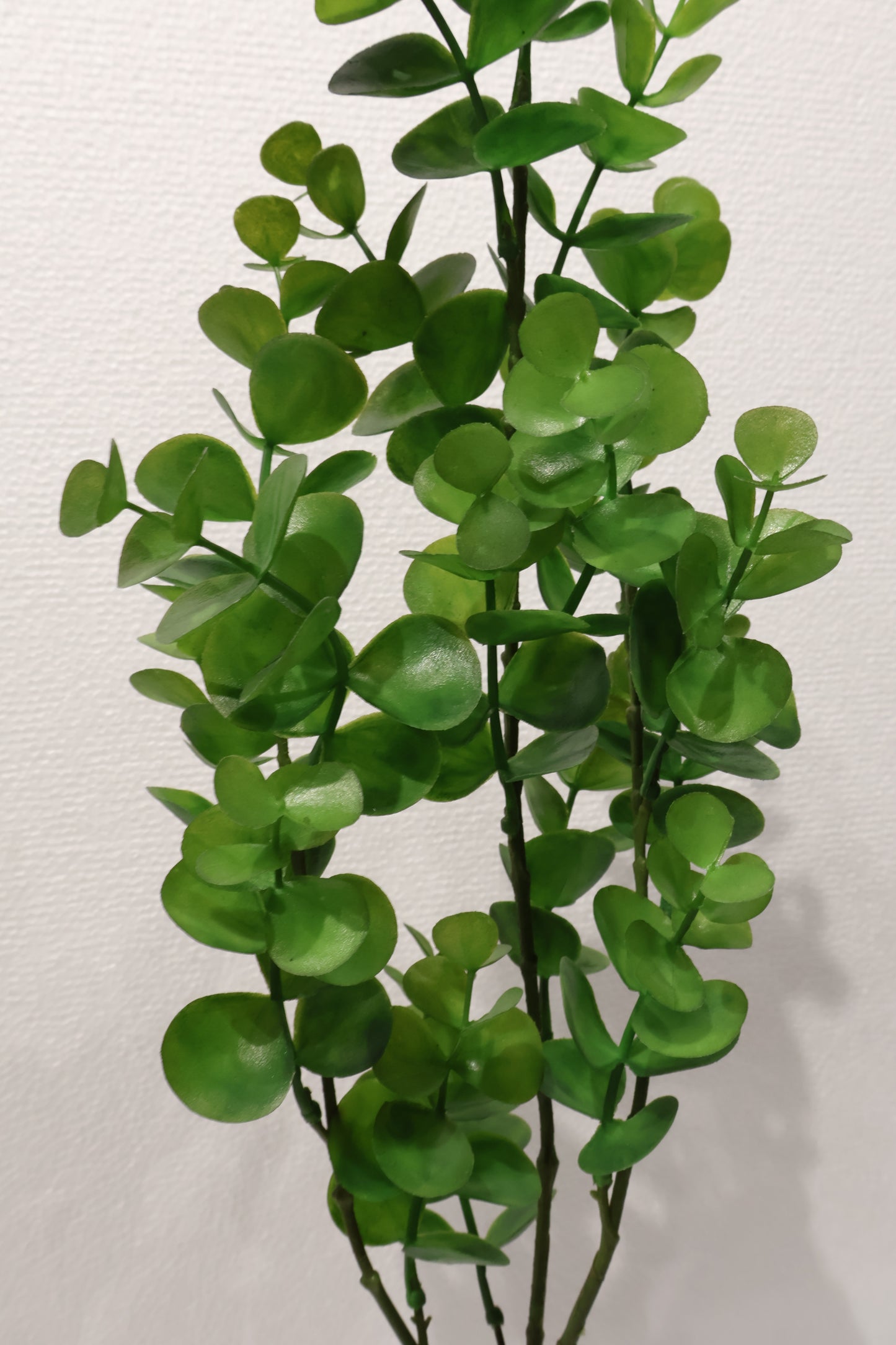 EUCALYPTUS SPRAY — 34" (86 cm)