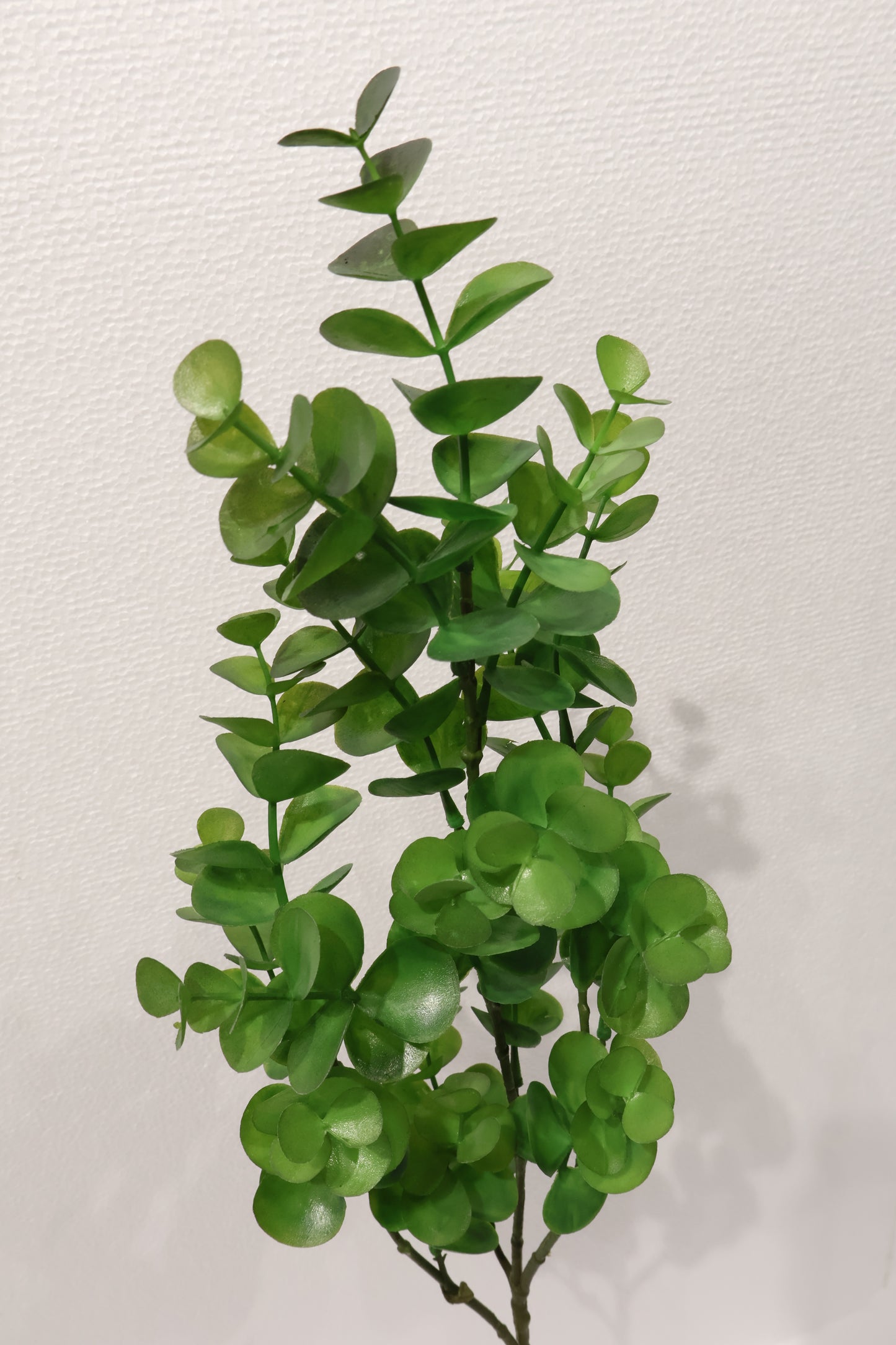 EUCALYPTUS SPRAY — 34" (86 cm)