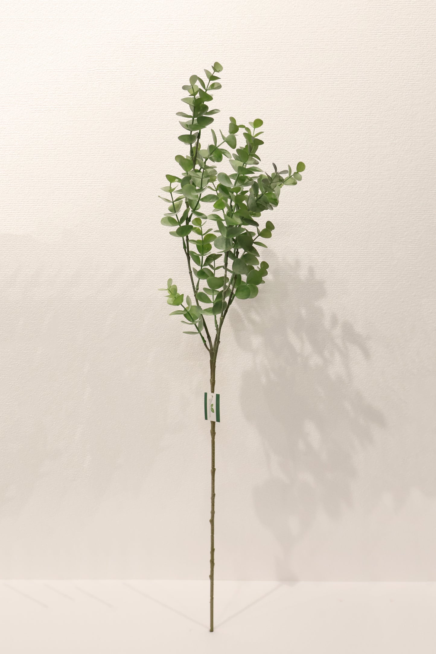 EUCALYPTUS SPRAY — 34" (86 cm)