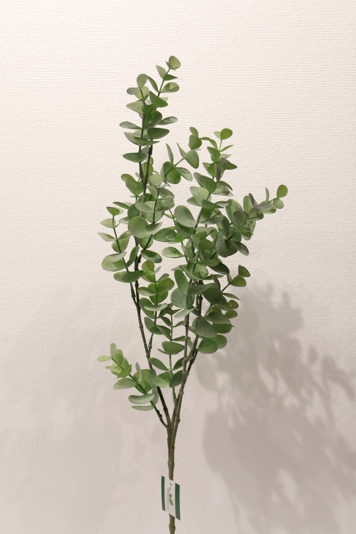 EUCALYPTUS SPRAY — 34" (86 cm)
