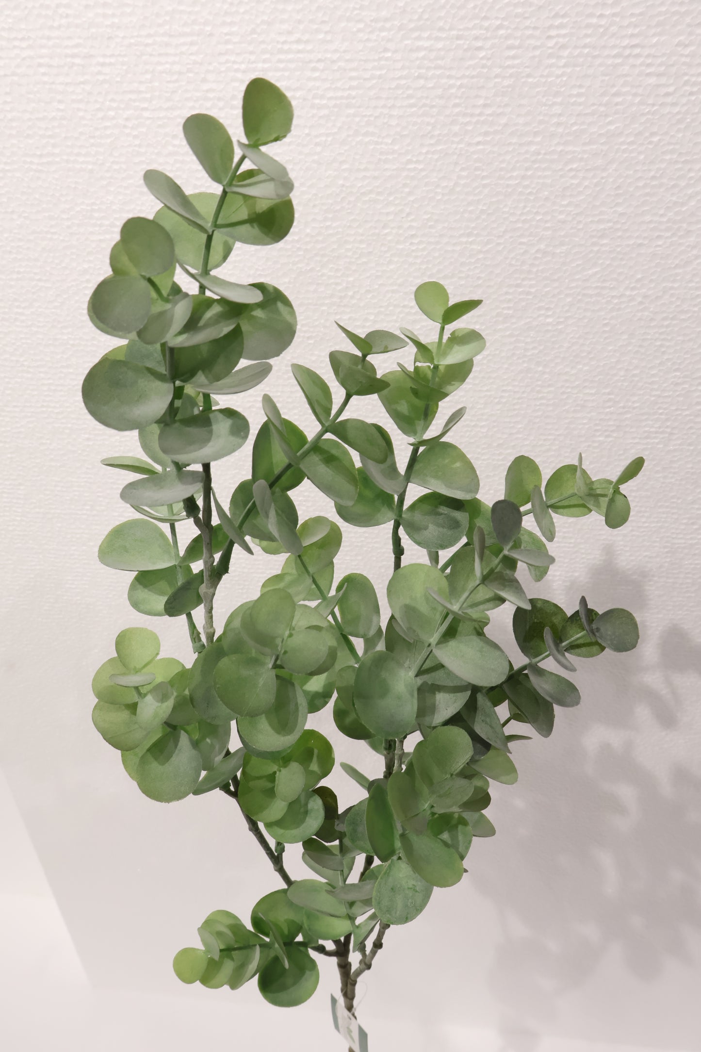 EUCALYPTUS SPRAY — 34" (86 cm)