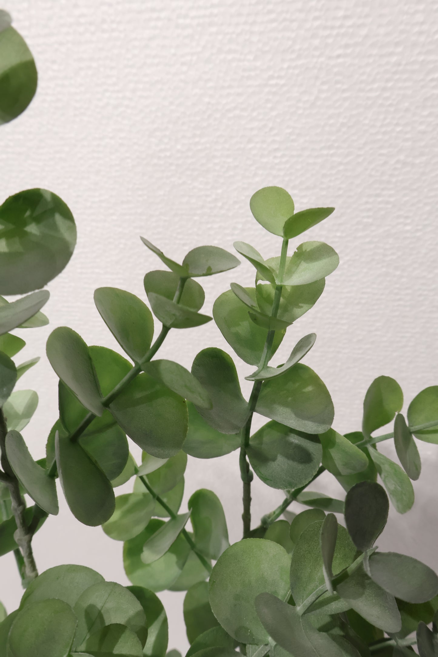 EUCALYPTUS SPRAY — 34" (86 cm)