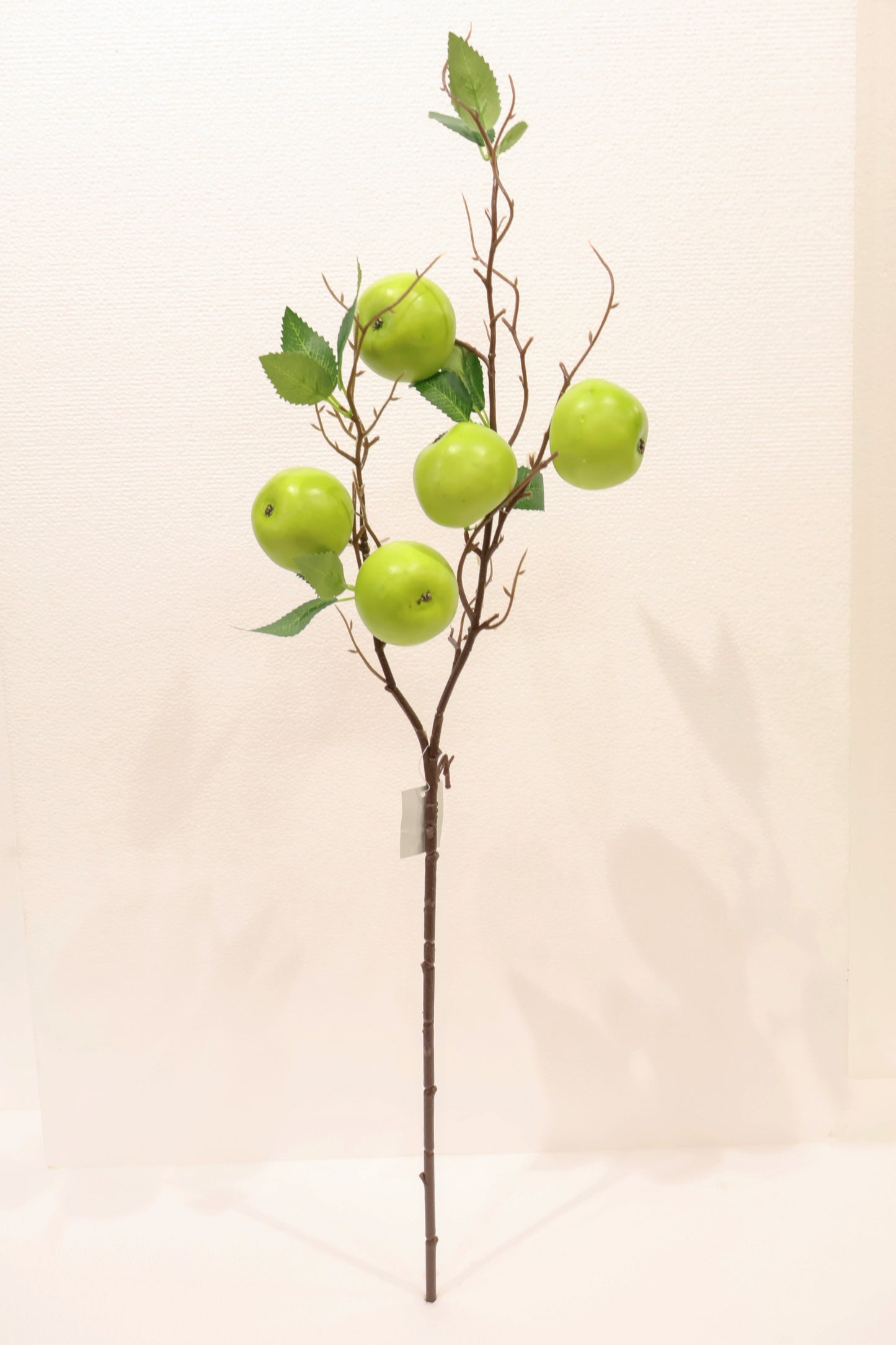 GREEN APPLE — 31.5" (80 cm)