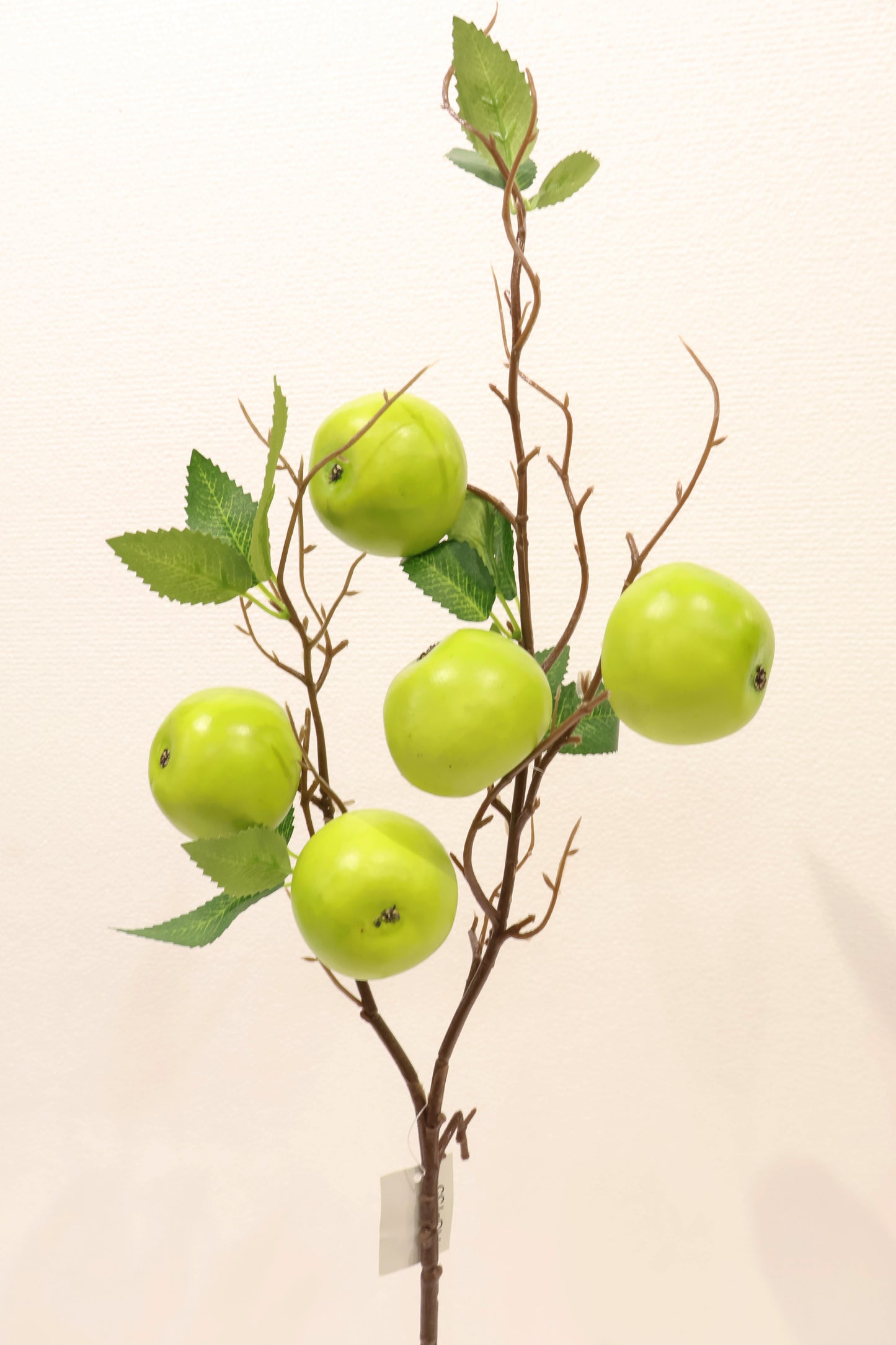 GREEN APPLE — 31.5" (80 cm)