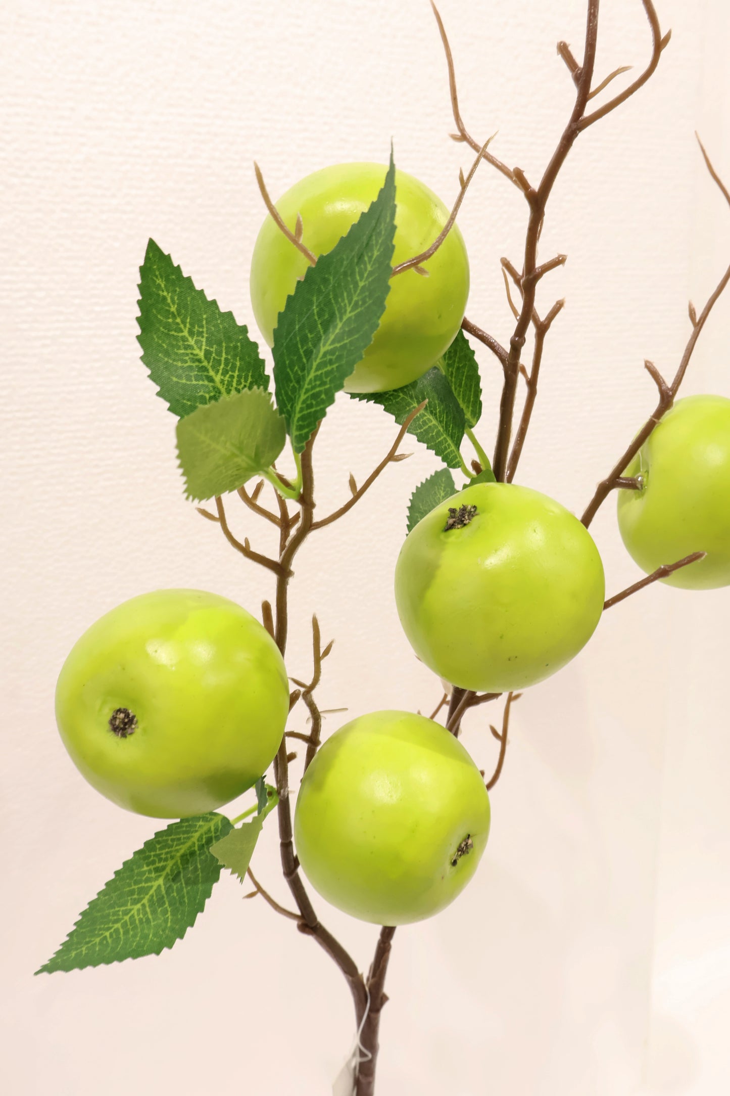 GREEN APPLE — 31.5" (80 cm)