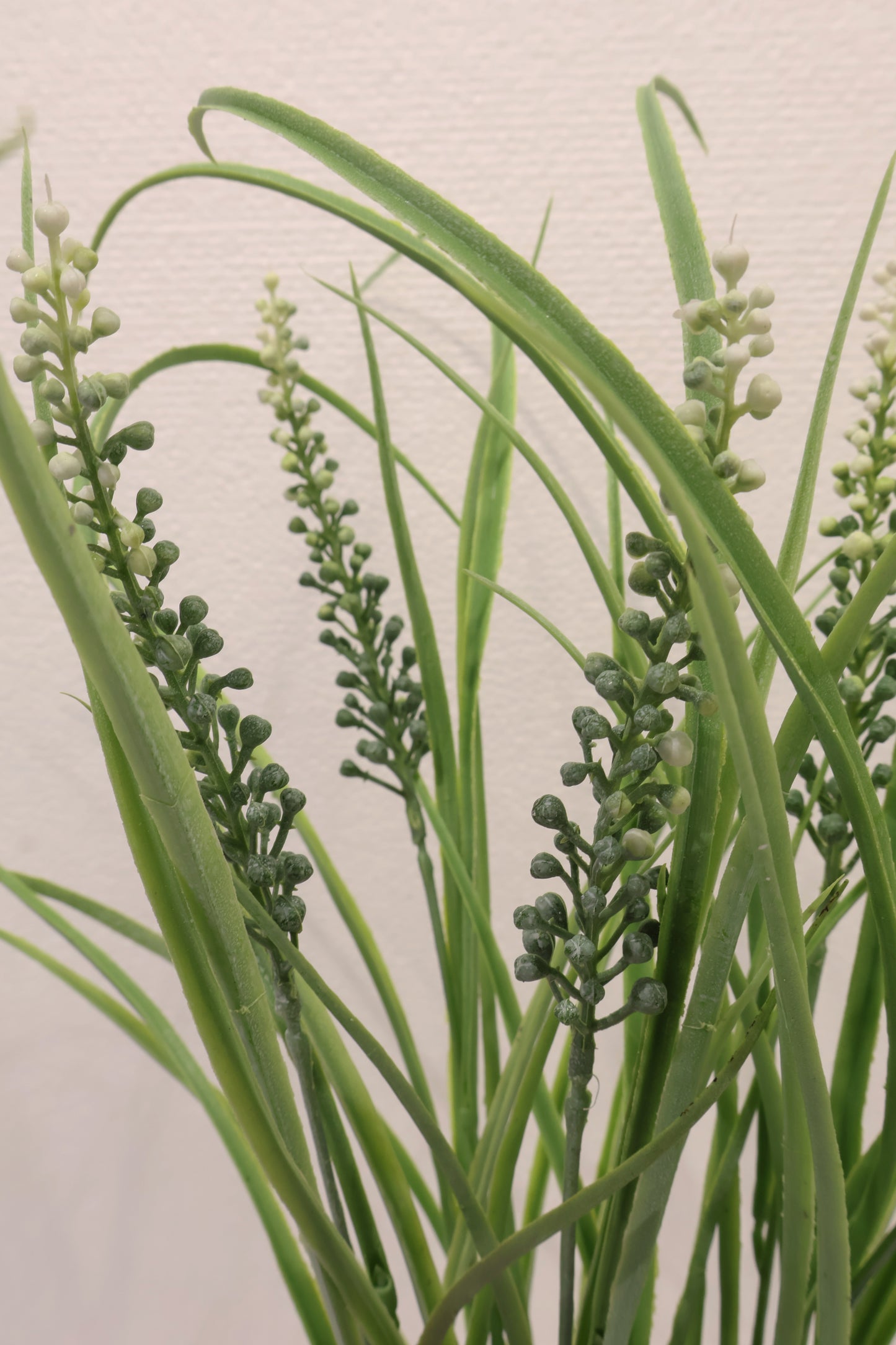 LILYTURF (LIRIOPE) BUSH — 23" (58 cm)