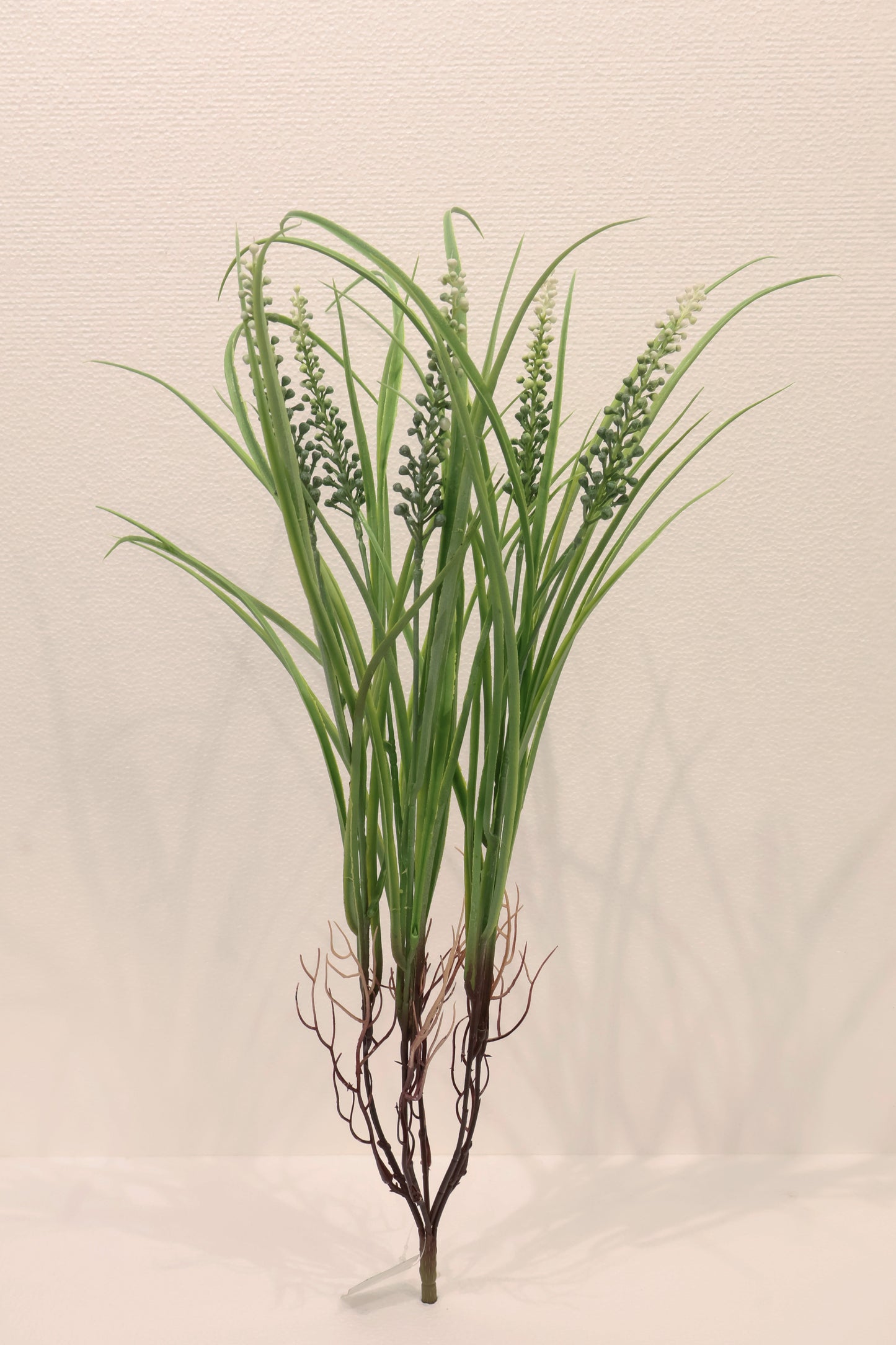 LILYTURF (LIRIOPE) BUSH — 23" (58 cm)