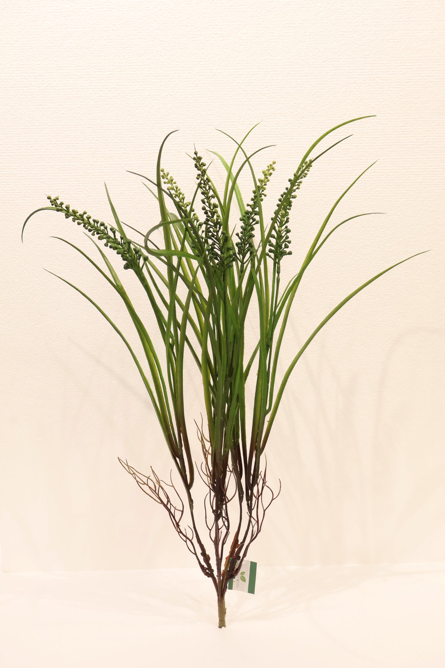 LILYTURF (LIRIOPE) BUSH — 23" (58 cm)