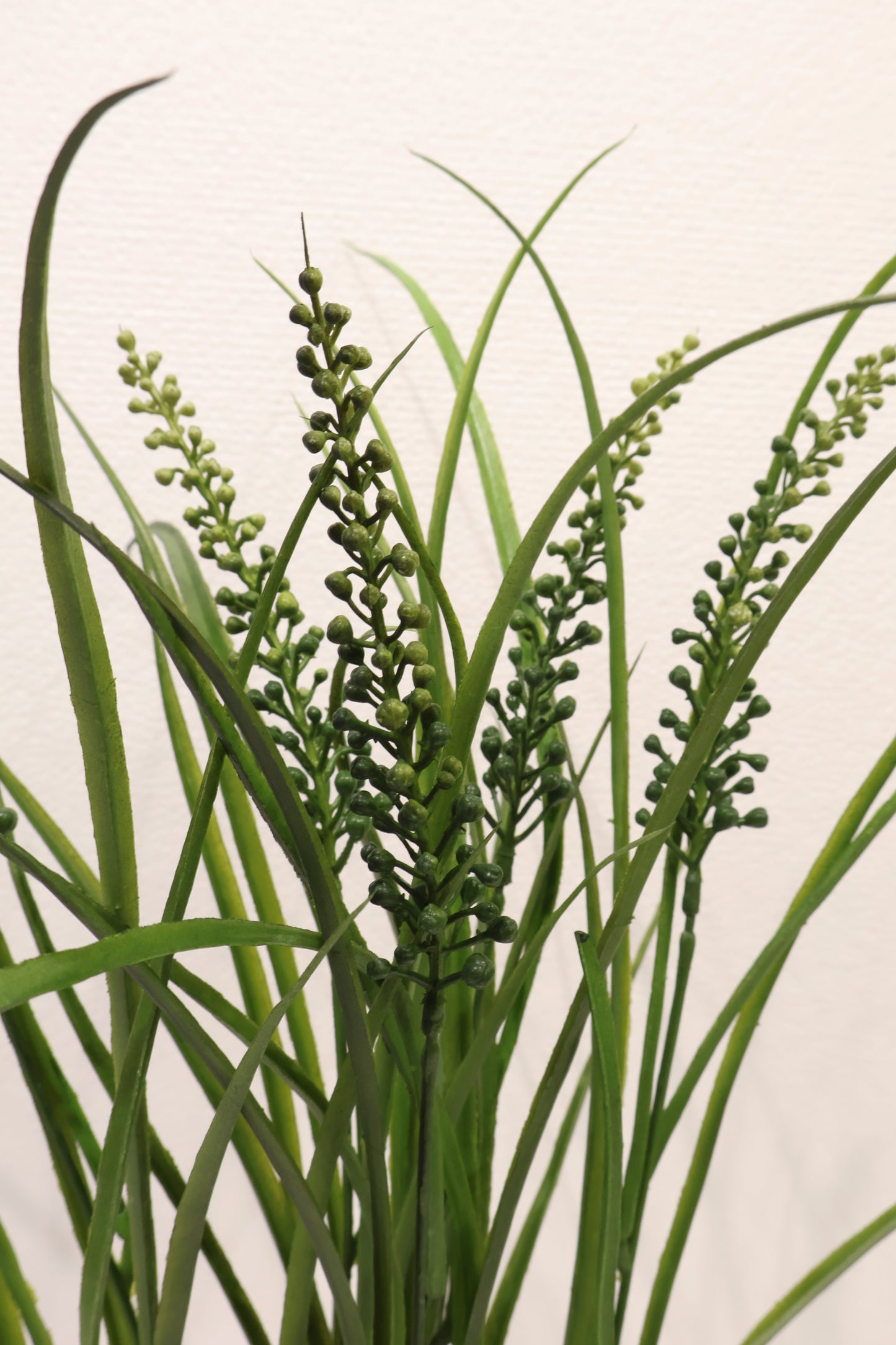 LILYTURF (LIRIOPE) BUSH — 23" (58 cm)