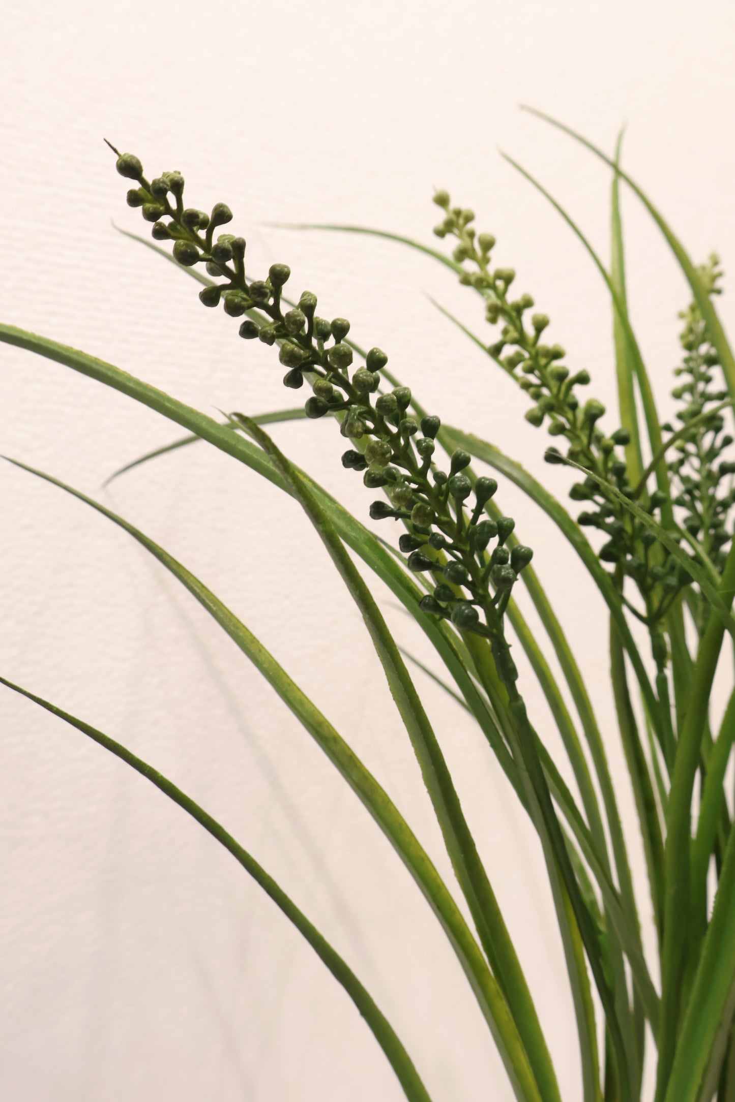 LILYTURF (LIRIOPE) BUSH — 23" (58 cm)