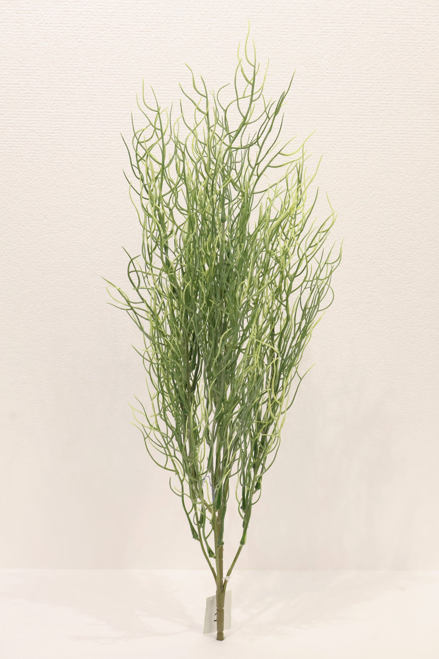 SPANISH MOSS BUSH (TILLANDSIA USNEOIDES) — 25" (64 cm)